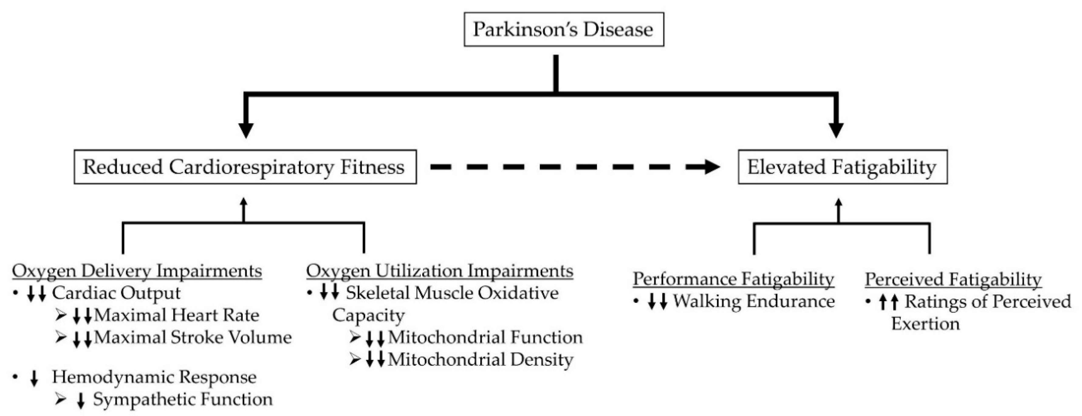 Fatigability and Cardiorespiratory Impairments in Parkinson&rsquo;s 