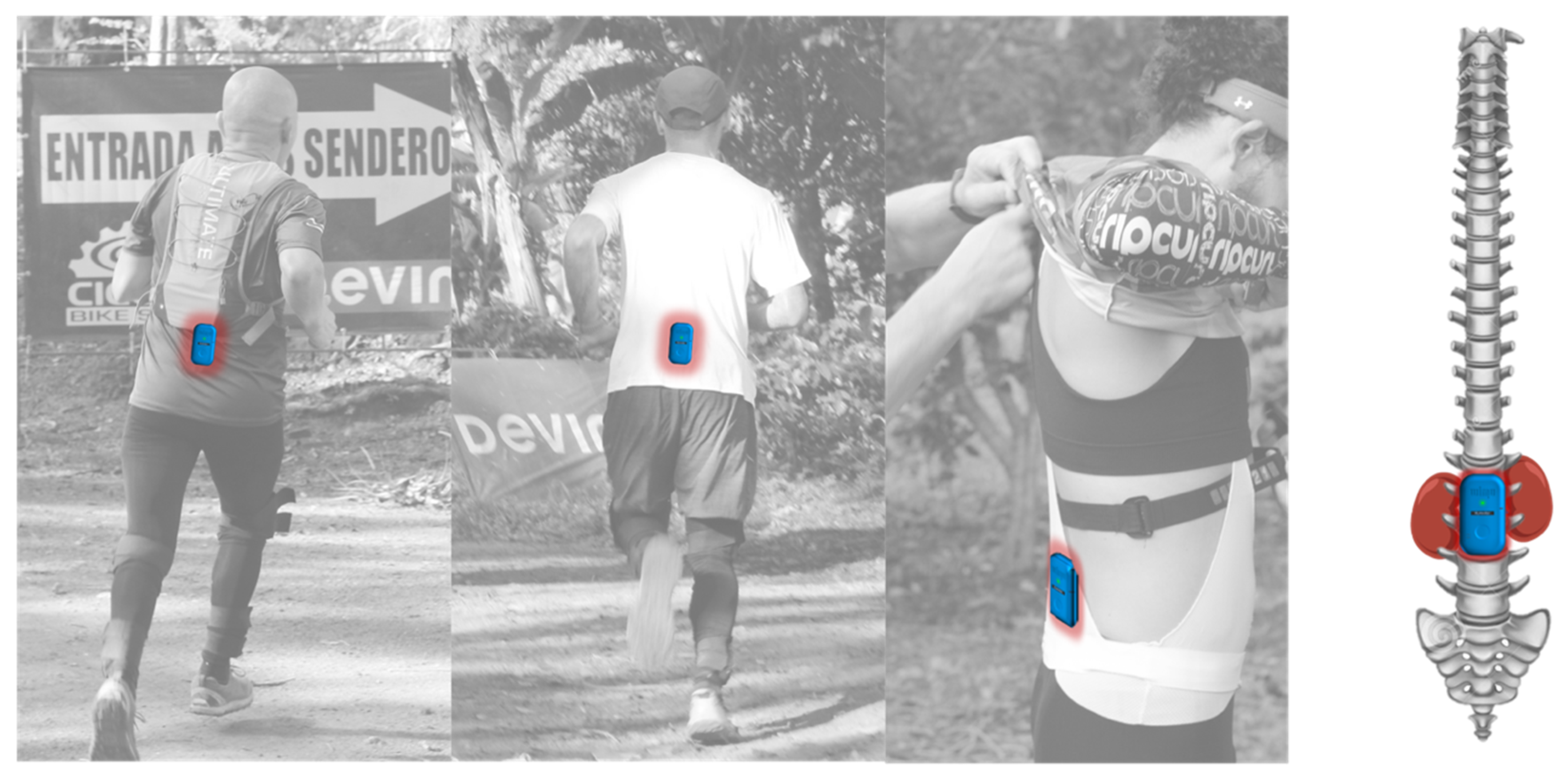 Jfmk 05 00093 g001 Jfmk 05 00093 g001