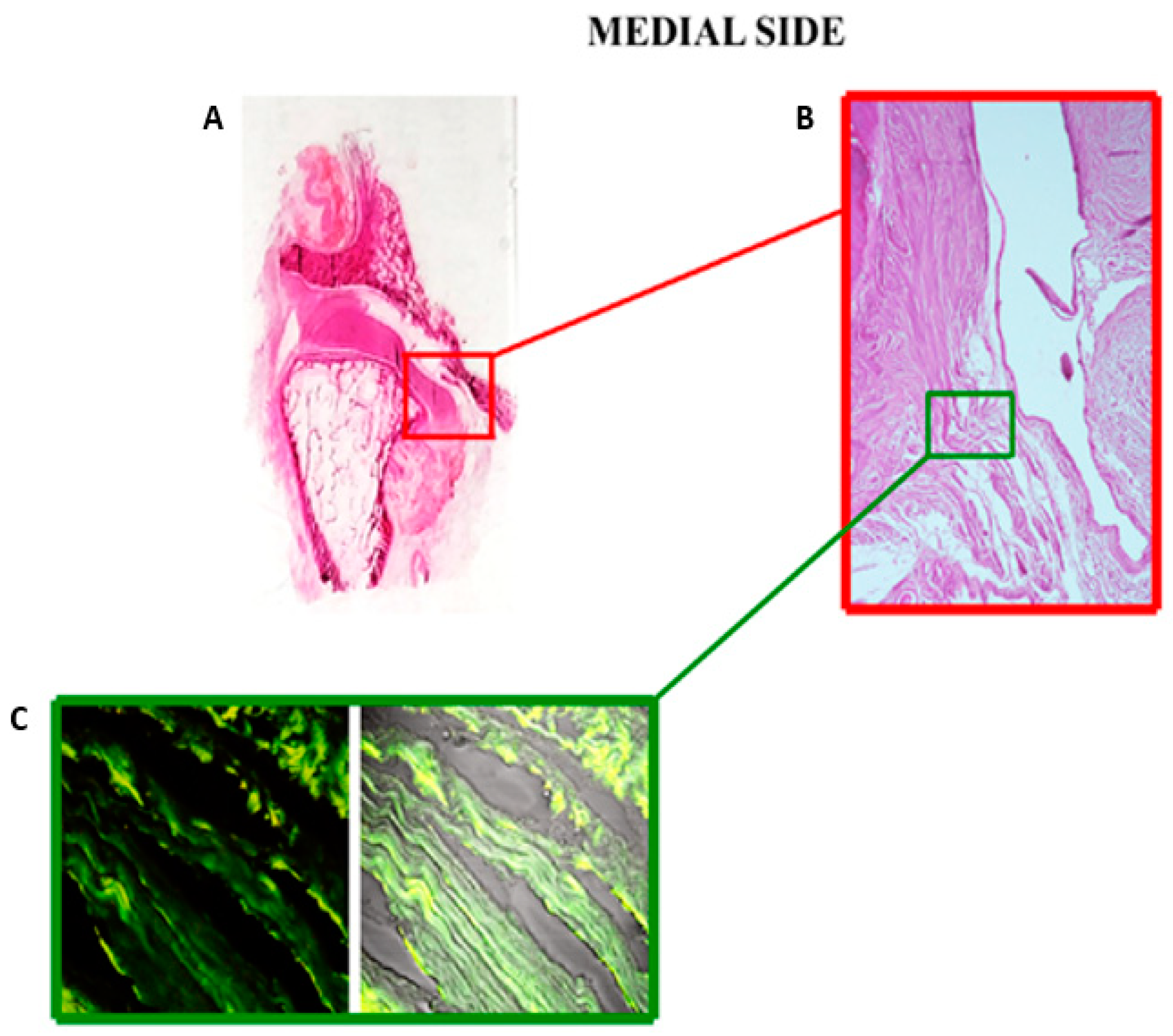 Jfmk 06 00022 g004 Jfmk 06 00022 g004