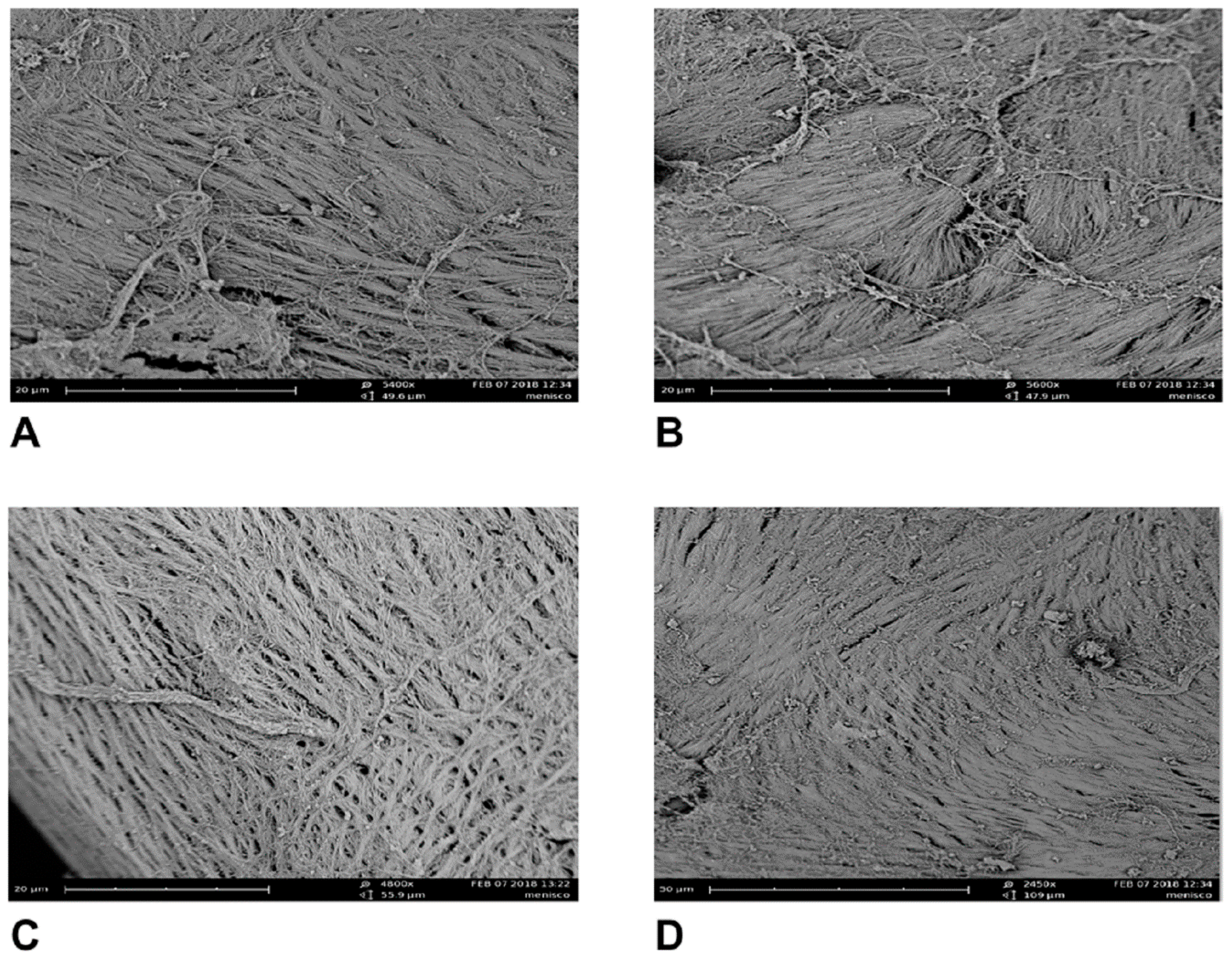 Jfmk 06 00022 g005 Jfmk 06 00022 g005