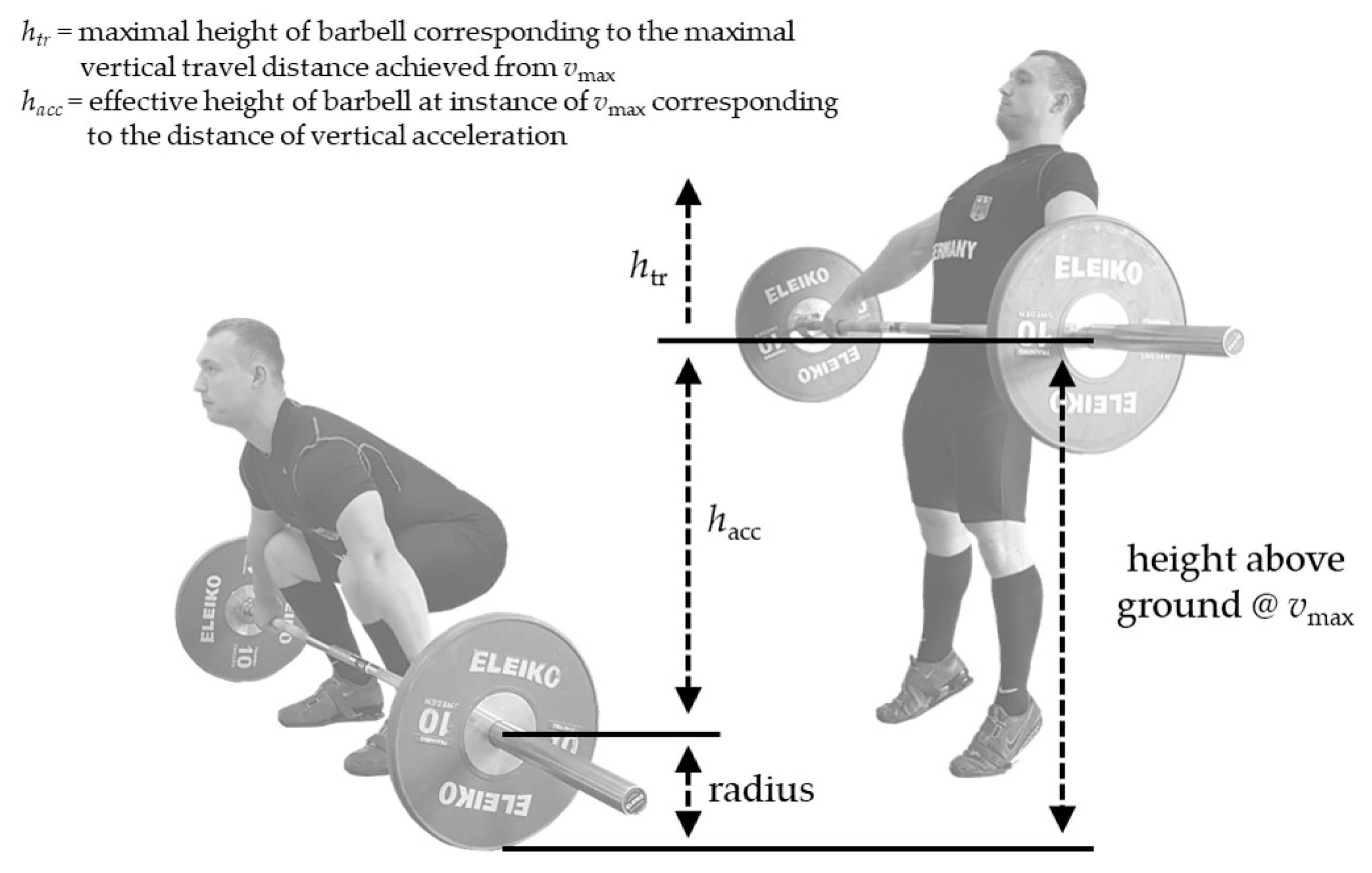 Barbell Push up