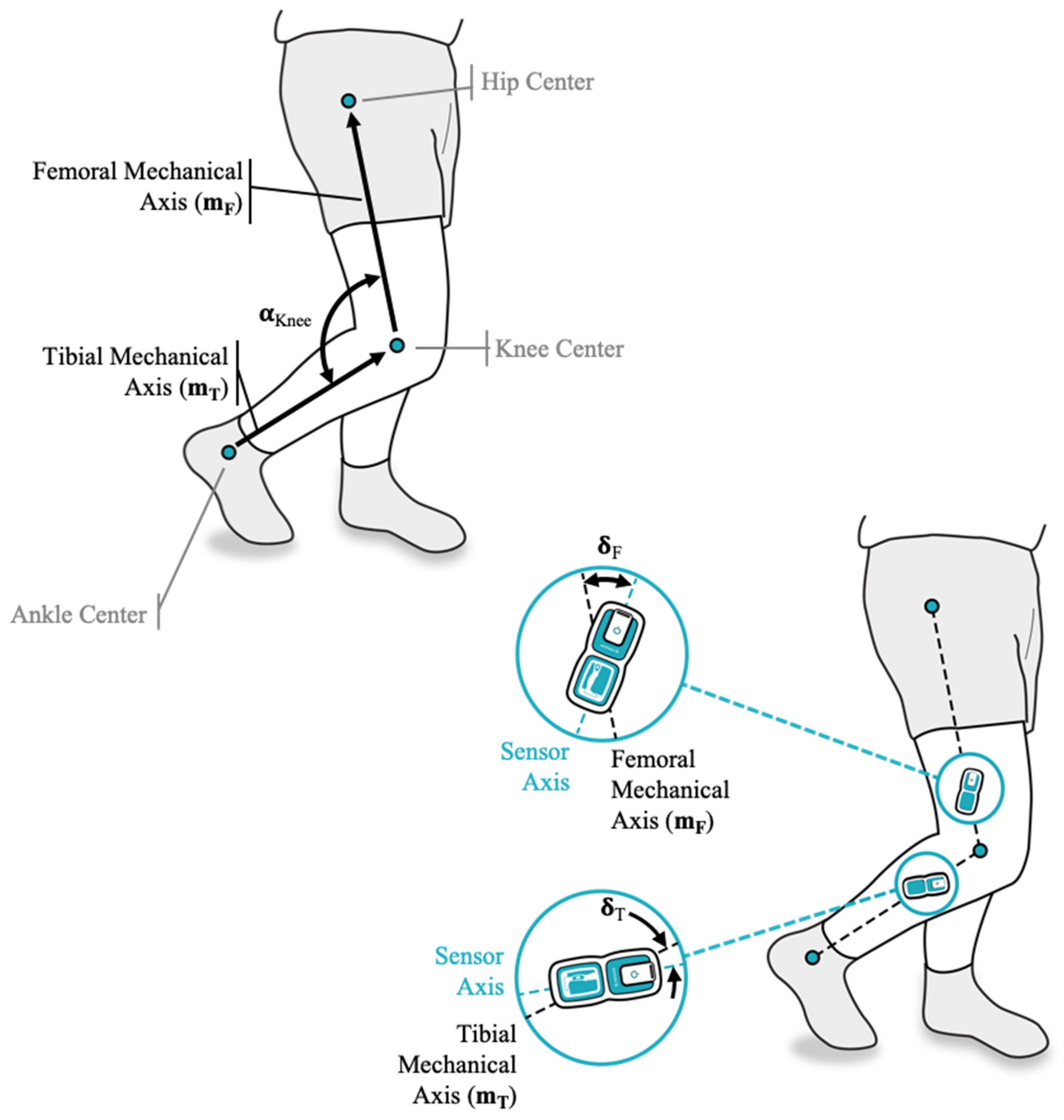 Supine position with knee flexed 90°