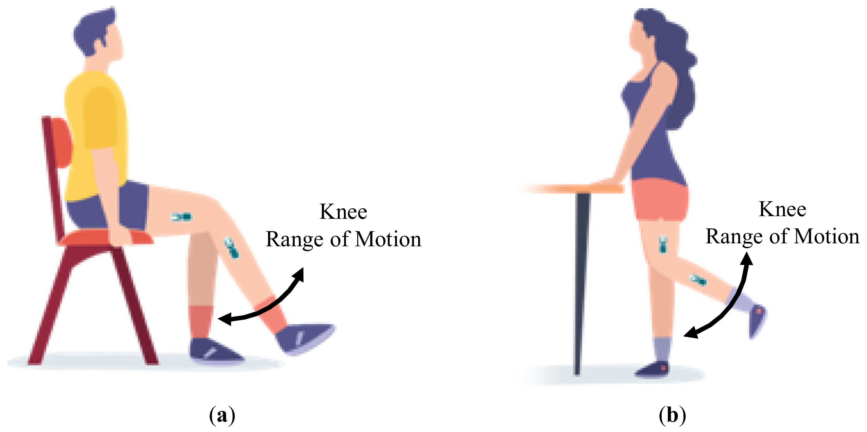 Knee Range Of Motion Exercises | atelier-yuwa.ciao.jp