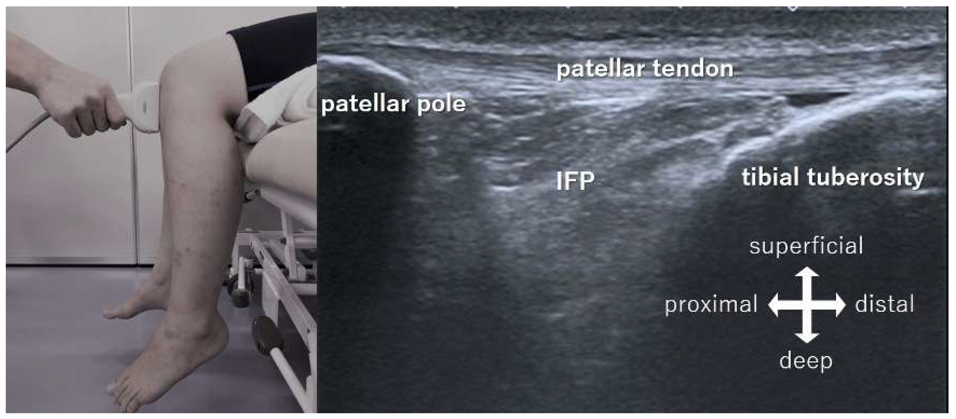 Jfmk 06 00068 g001 550