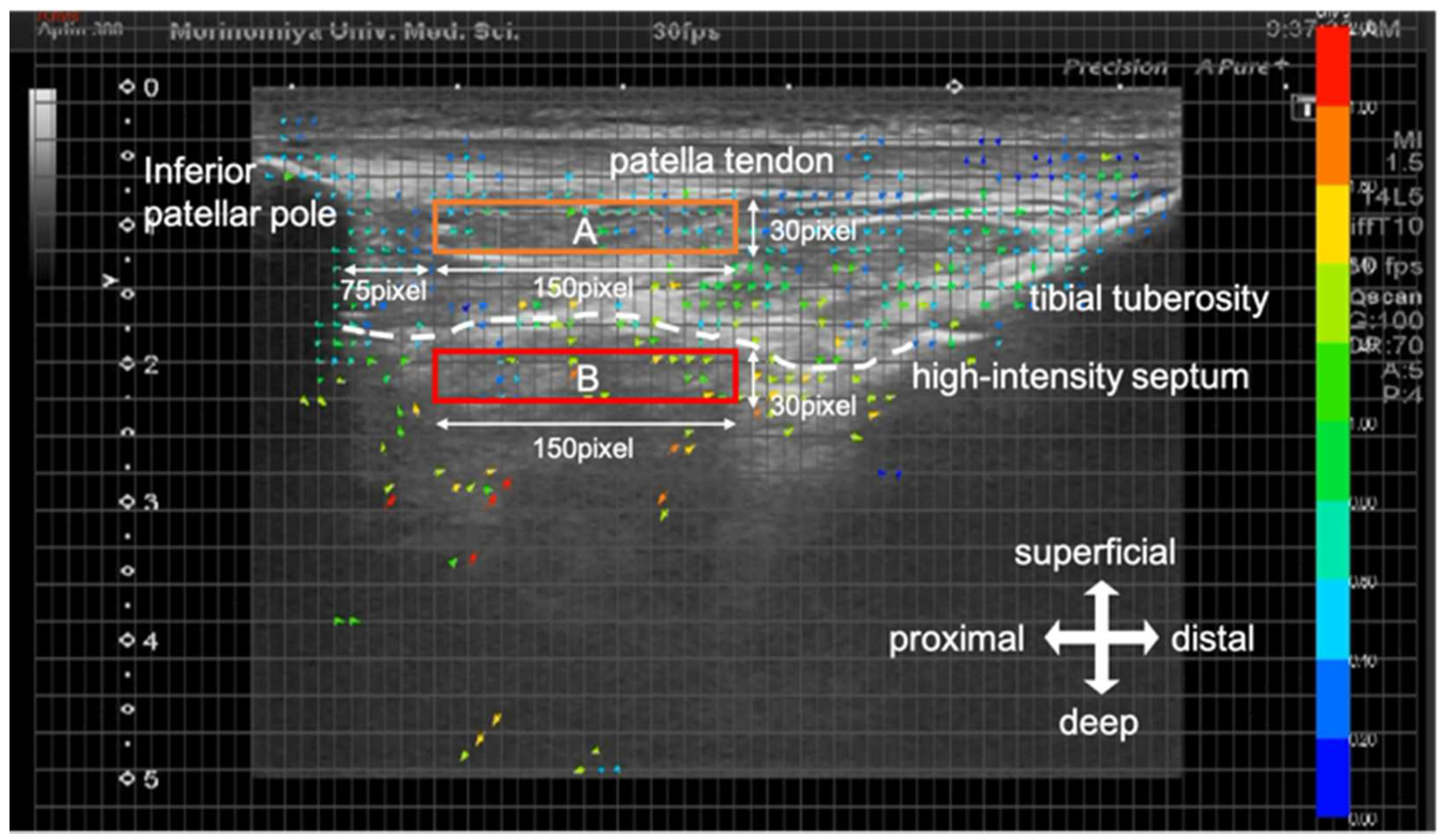 Jfmk 06 00068 g002 550