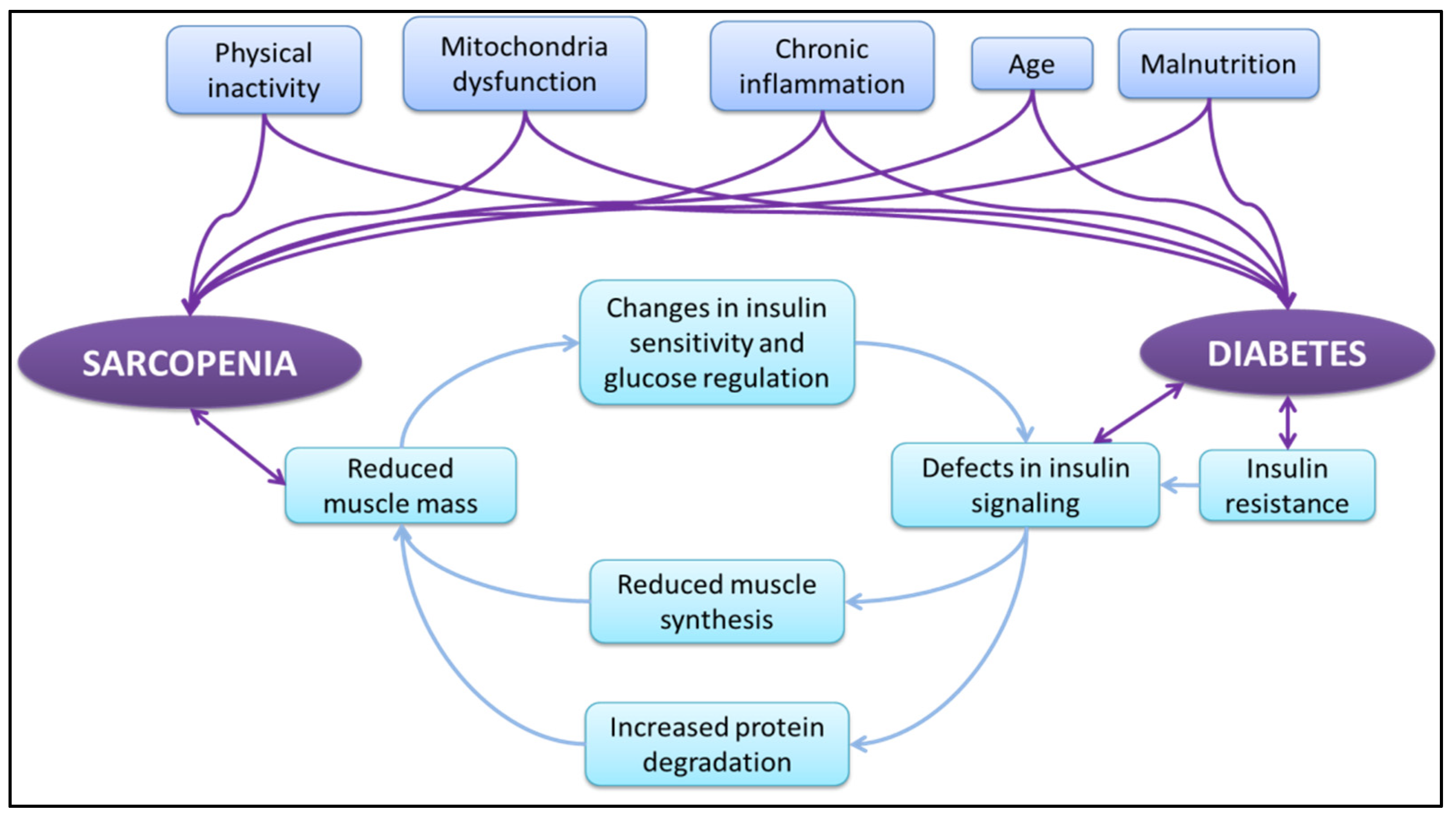 Jfmk 07 00048 g002 550