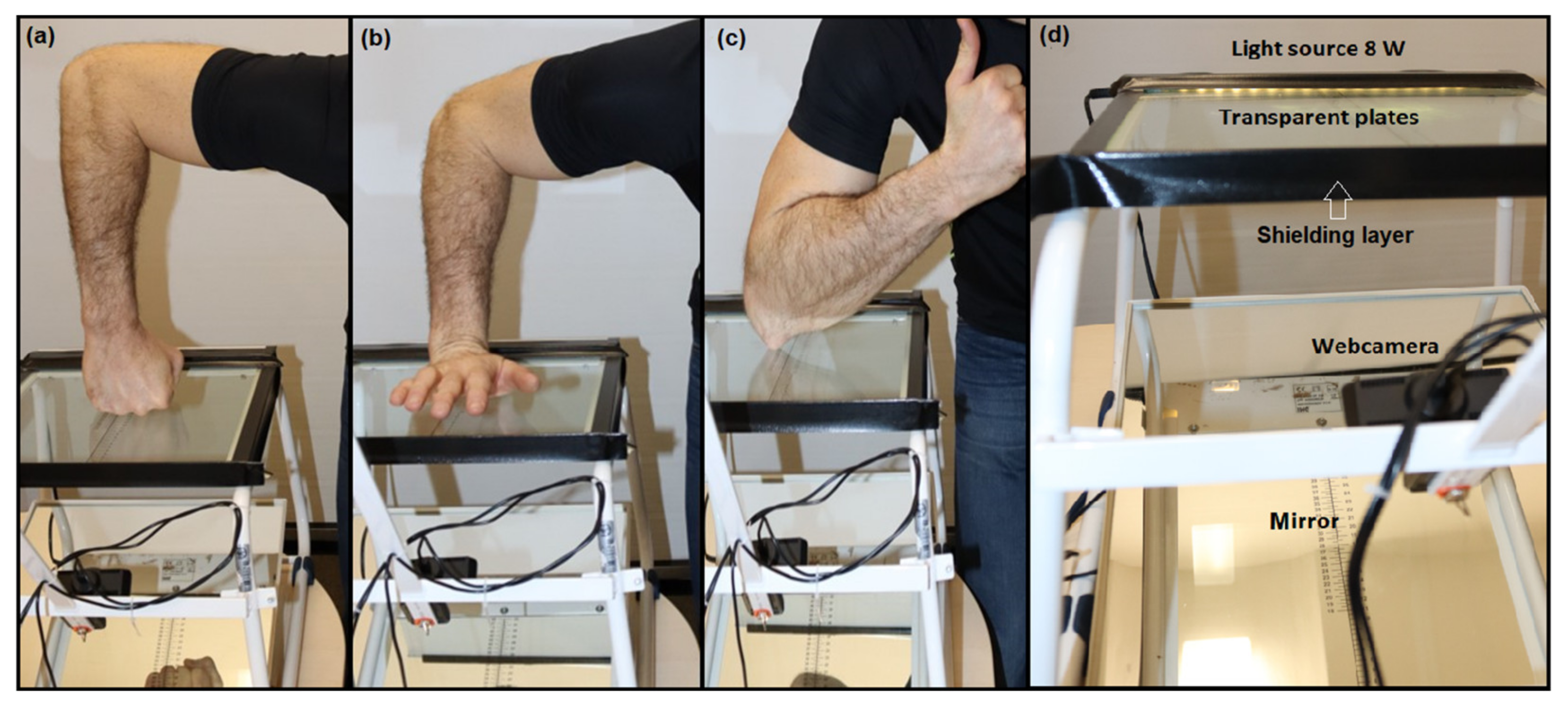 Jfmk 07 00050 g001 Jfmk 07 00050 g001