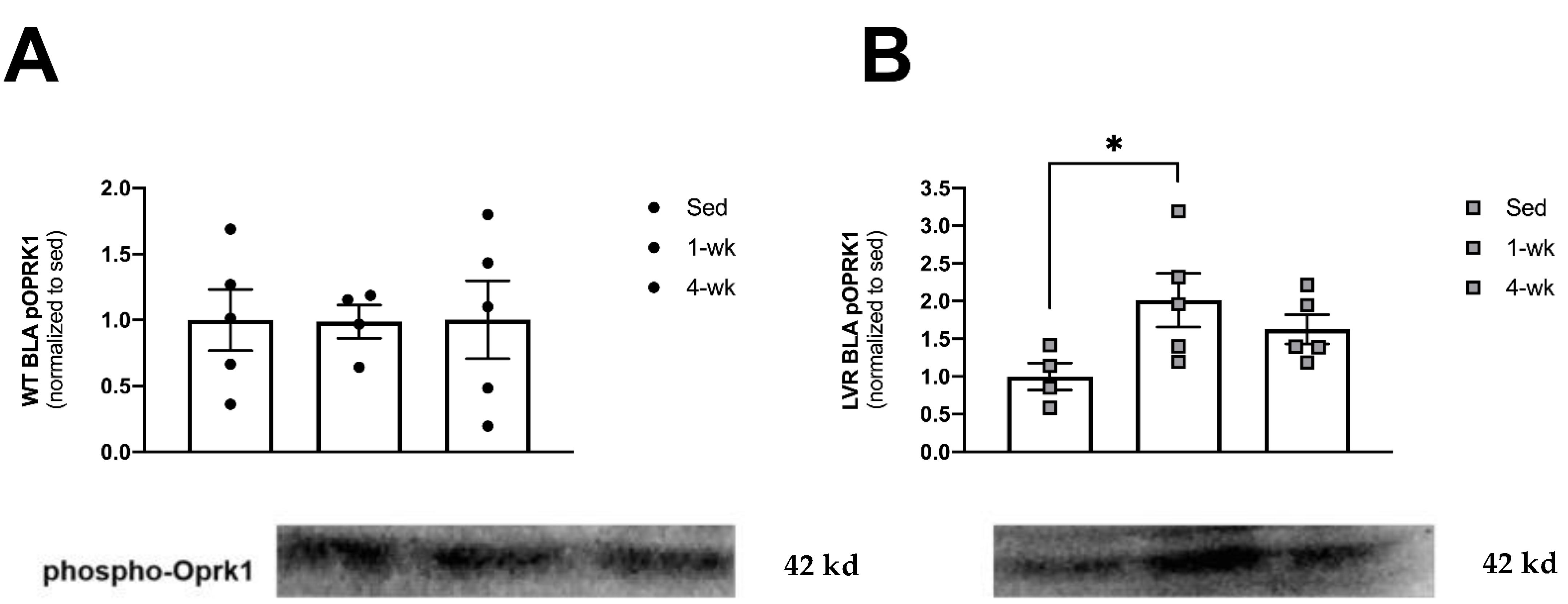 Jfmk 08 00006 g004 Jfmk 08 00006 g004