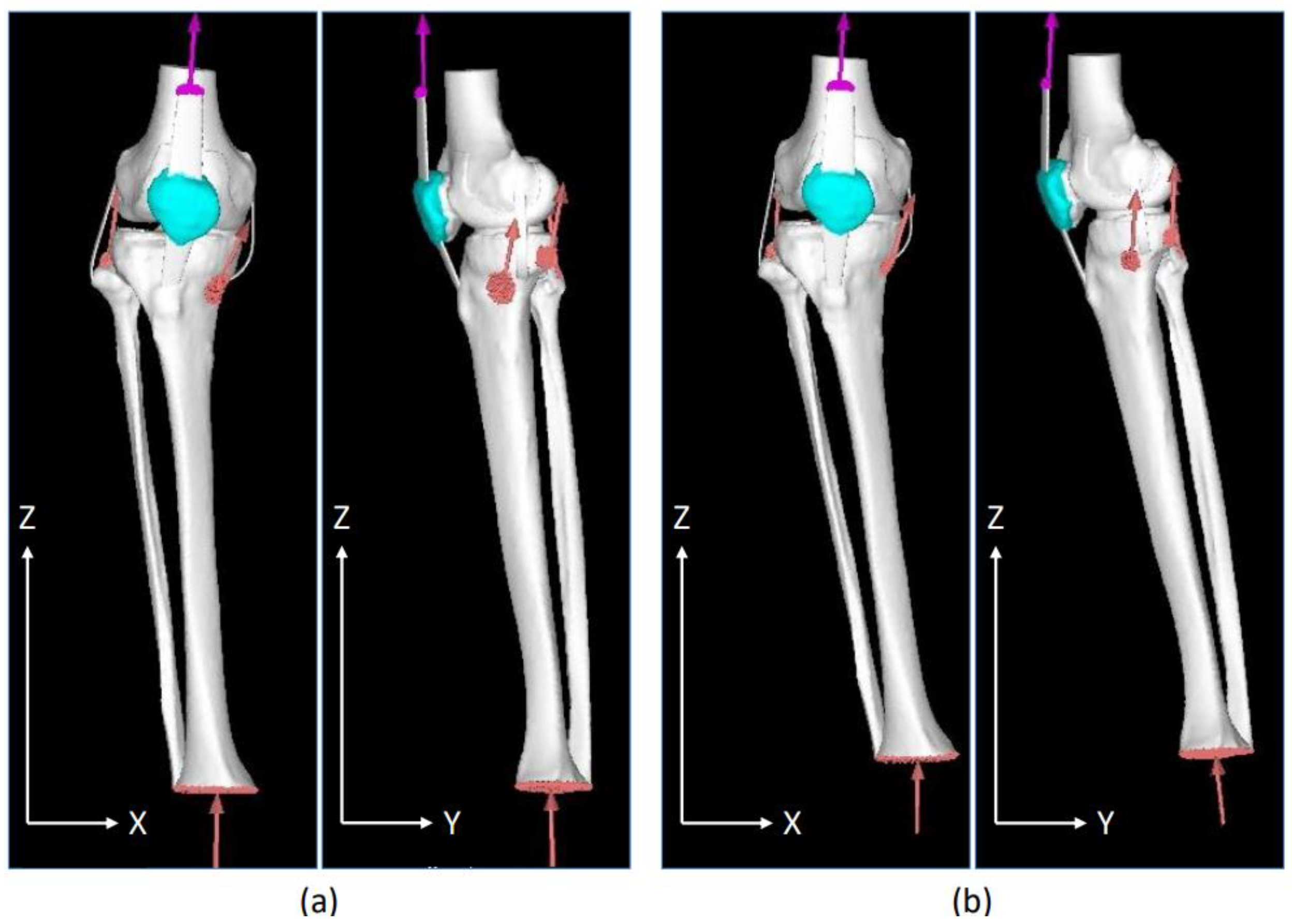 Jfmk 08 00015 g002 Jfmk 08 00015 g002