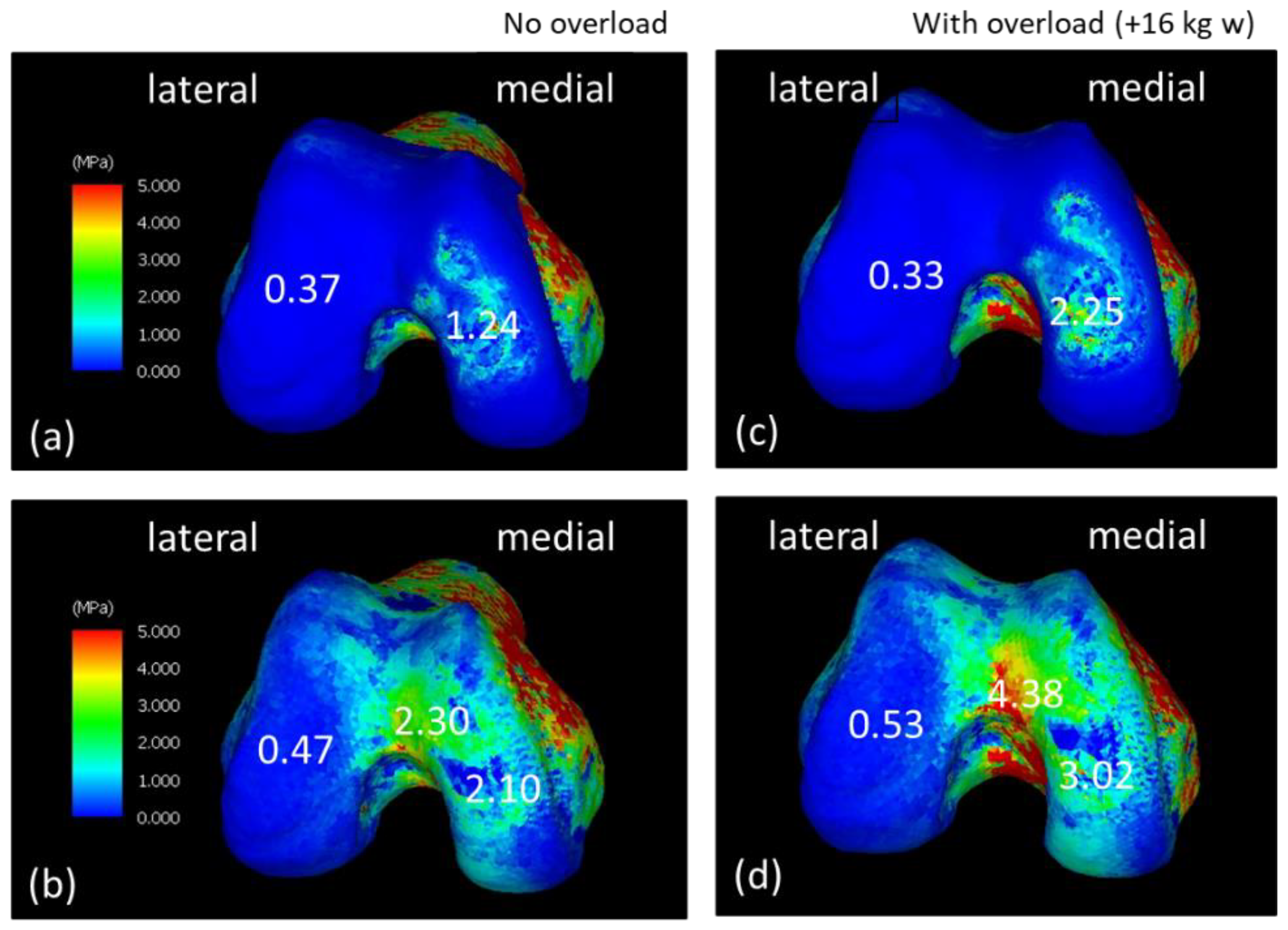 Jfmk 08 00015 g003 Jfmk 08 00015 g003