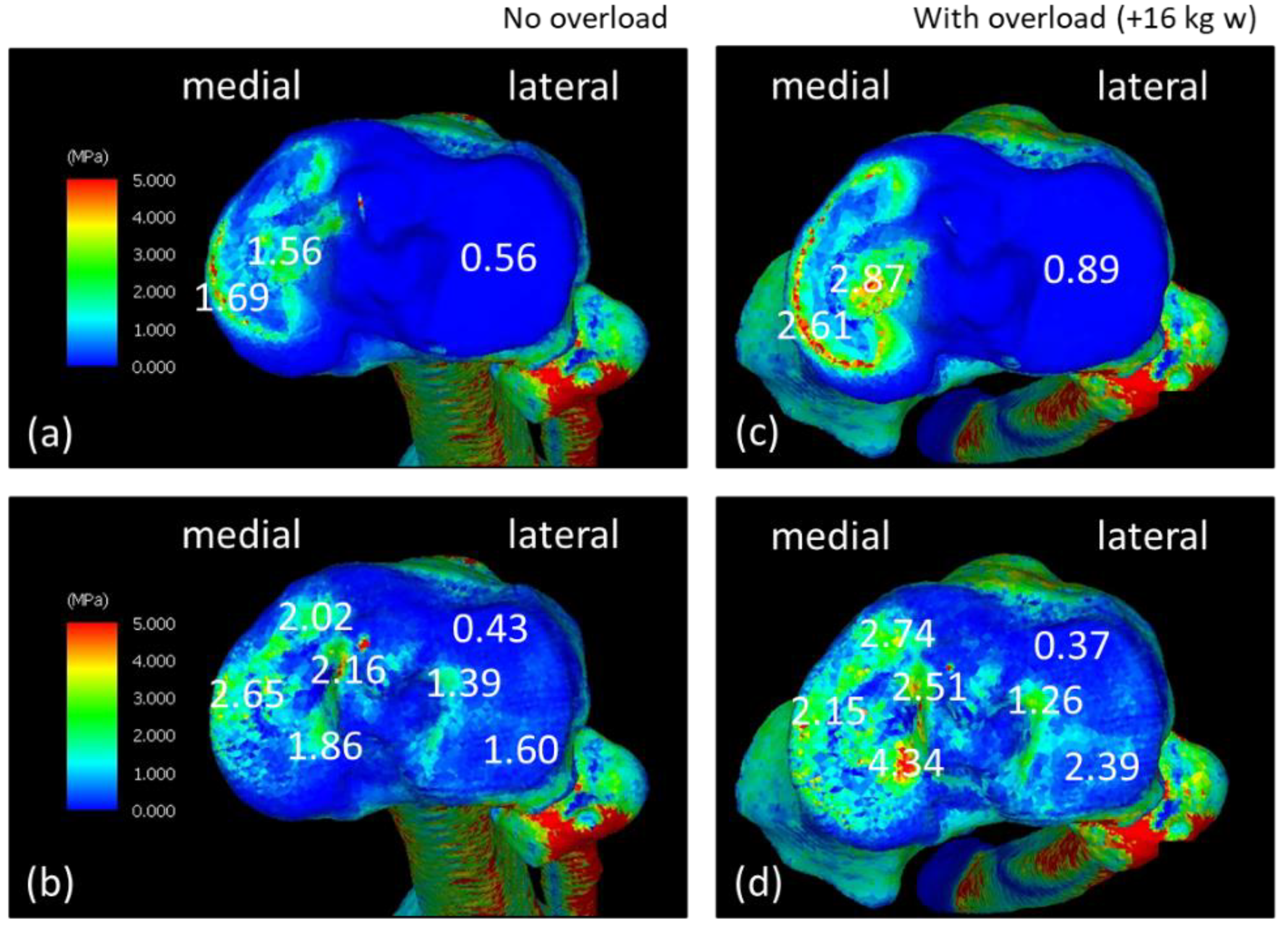 Jfmk 08 00015 g004 Jfmk 08 00015 g004