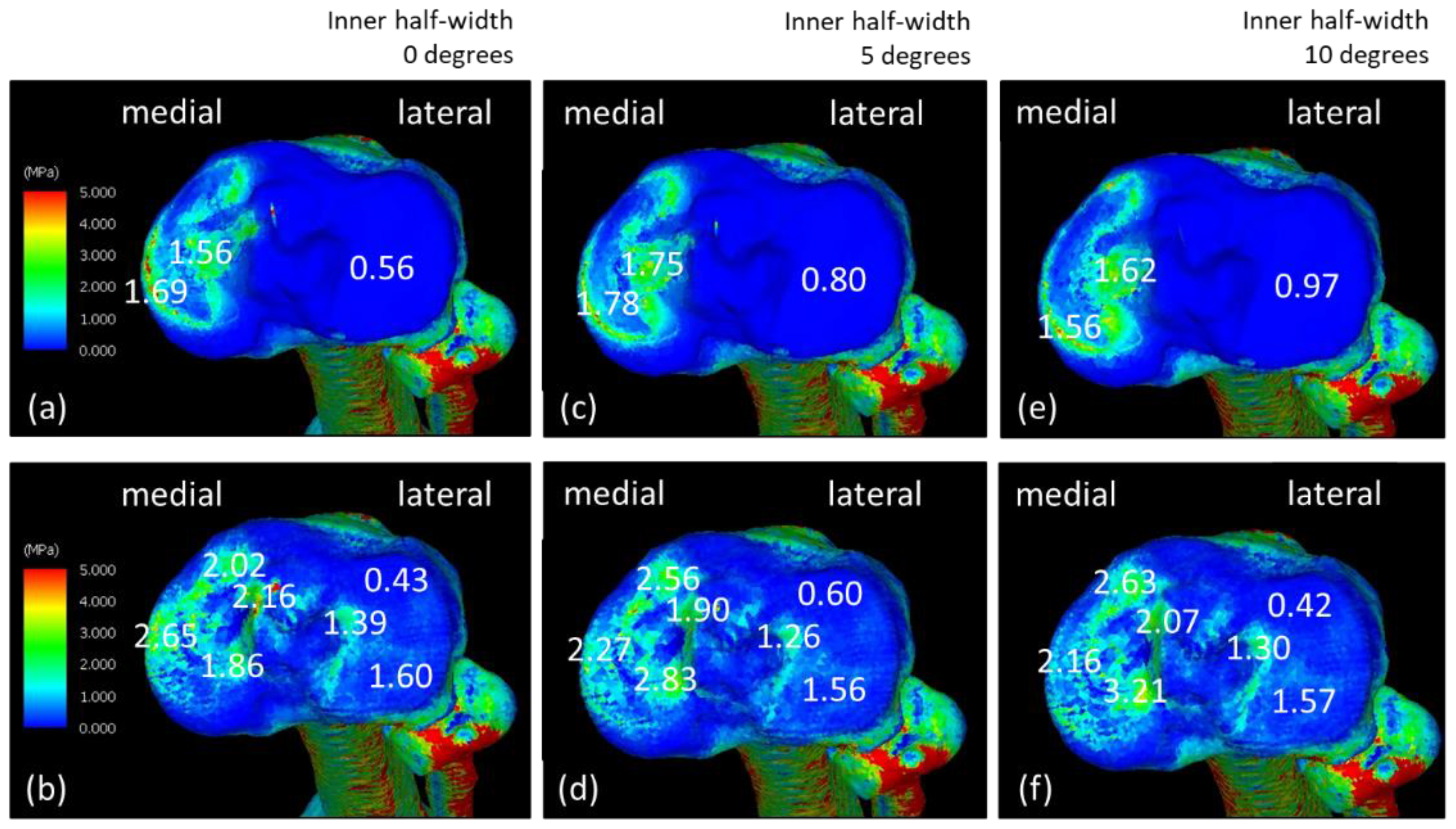 Jfmk 08 00015 g006 Jfmk 08 00015 g006