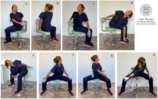 Avoid Back Pain with 5 Stretches From a Desk Chair: Elite Sports