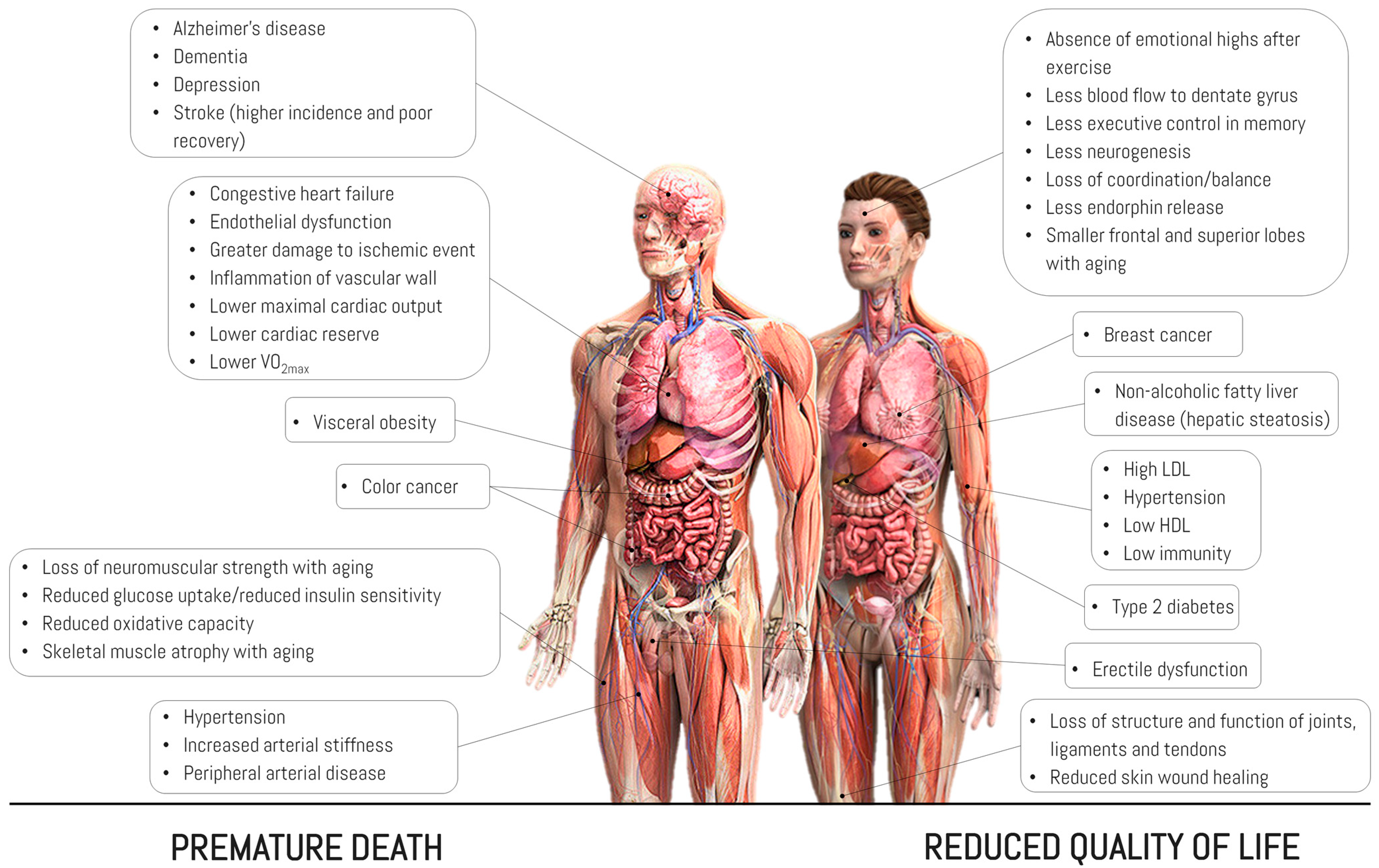 Jfmk 08 00044 g002 Jfmk 08 00044 g002