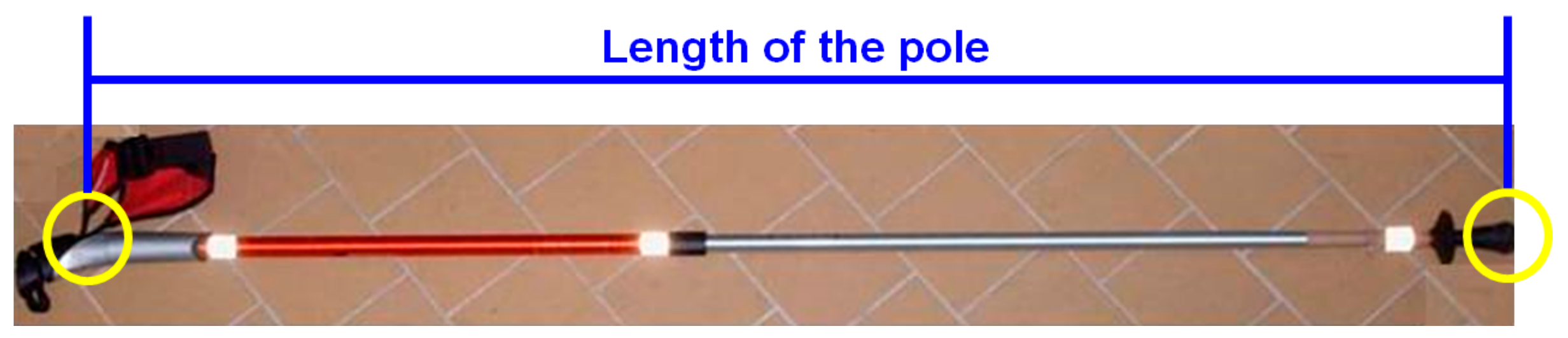 Jfmk 08 00050 g002 Jfmk 08 00050 g002