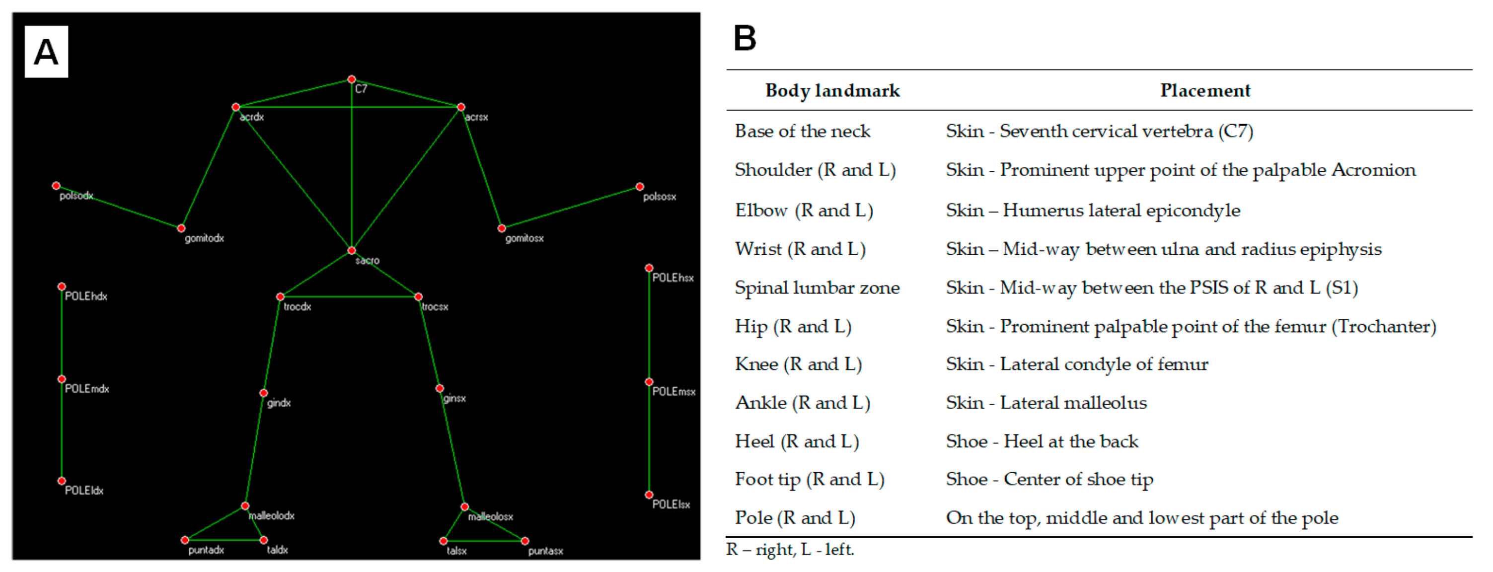 Jfmk 08 00050 g003 Jfmk 08 00050 g003