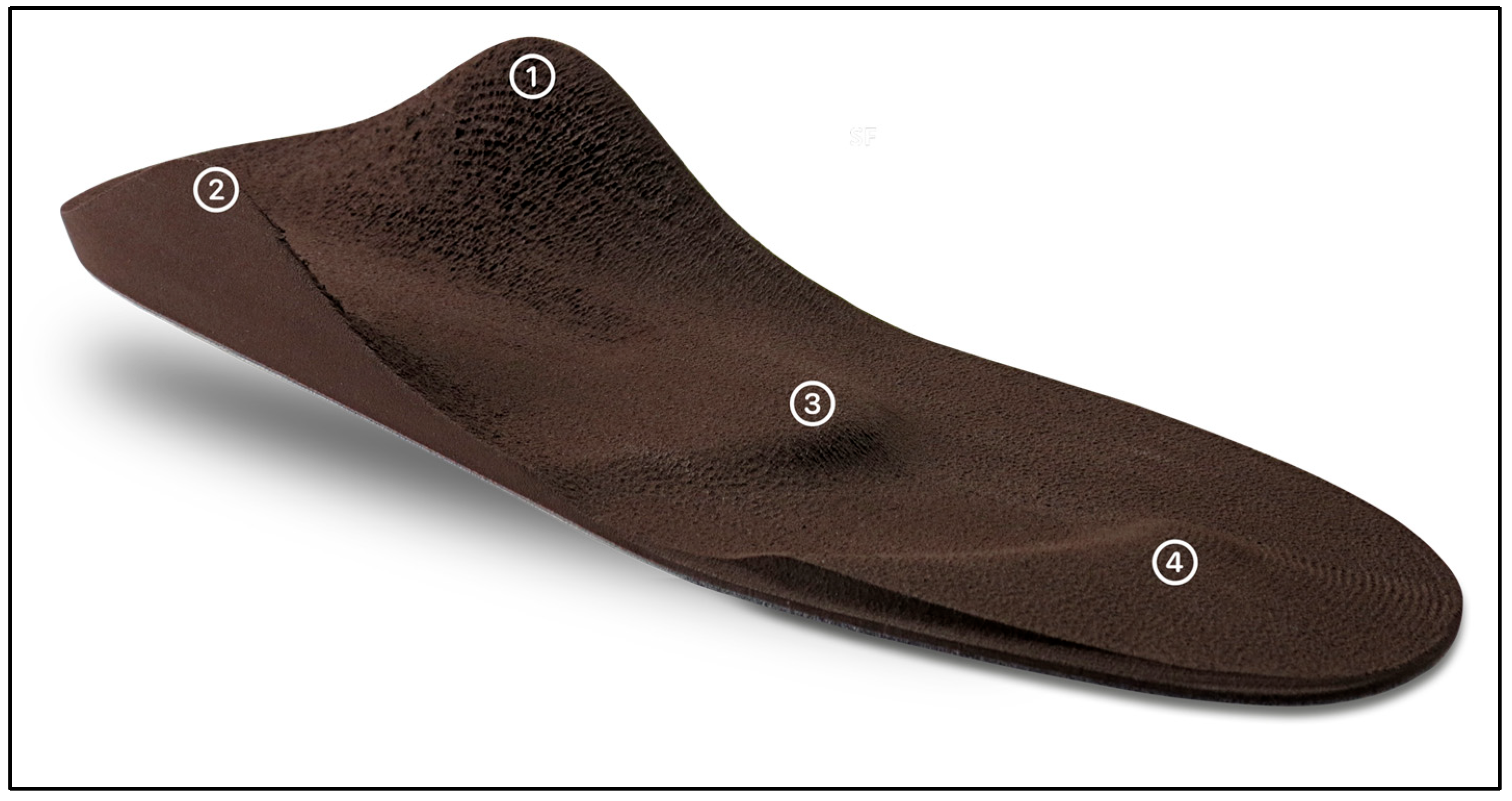 Jfmk 08 00066 g001 Jfmk 08 00066 g001