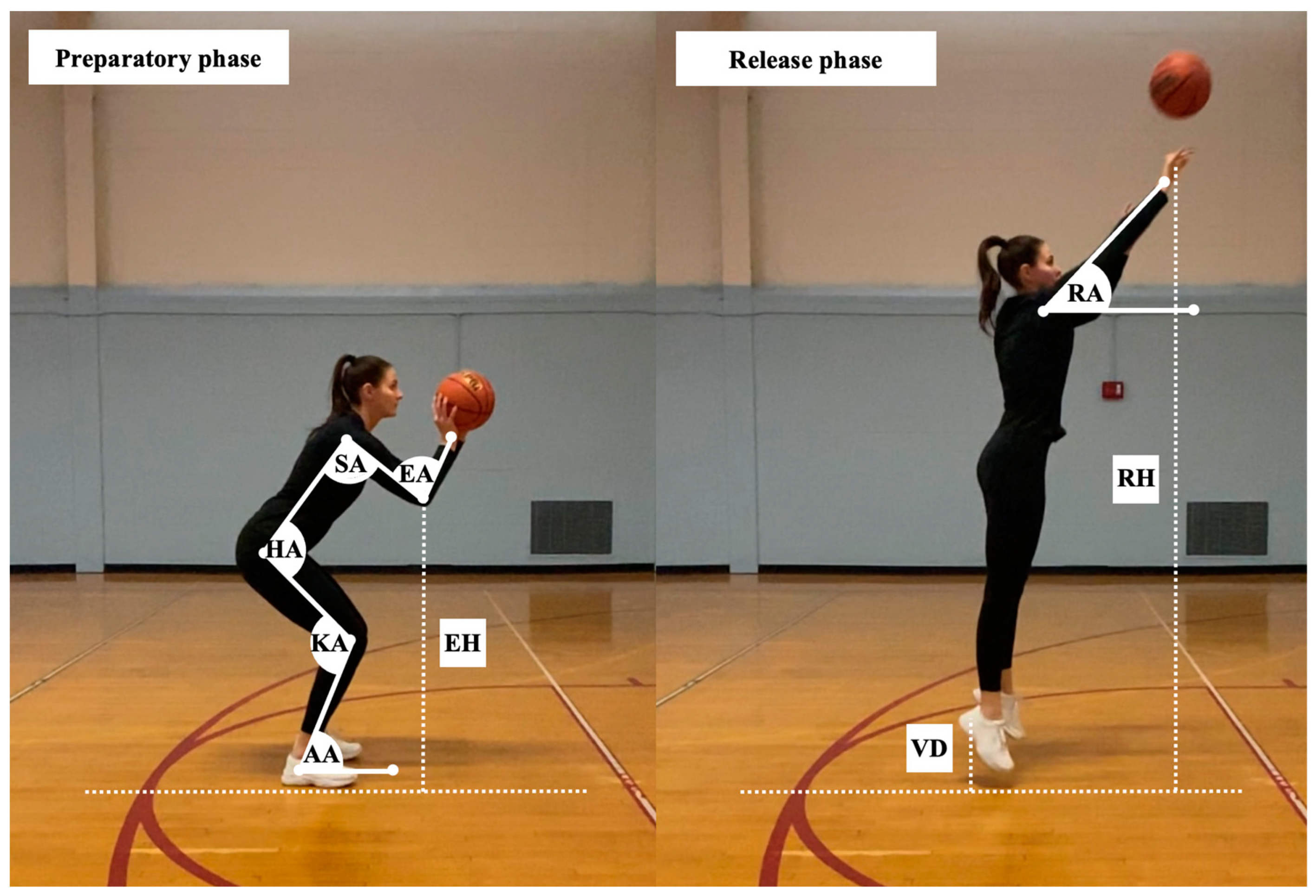 JFMK Free Full-Text Kinematic Differences Based on Shooting Proficiency and Distance in Female Basketball Players