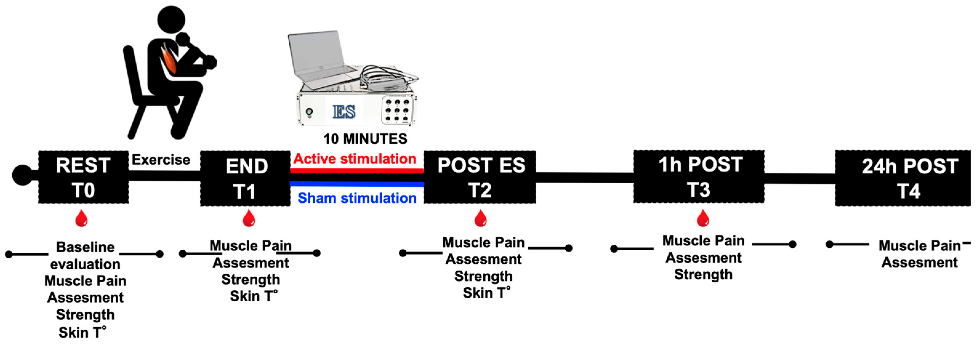 Jfmk 08 00146 g001 Jfmk 08 00146 g001