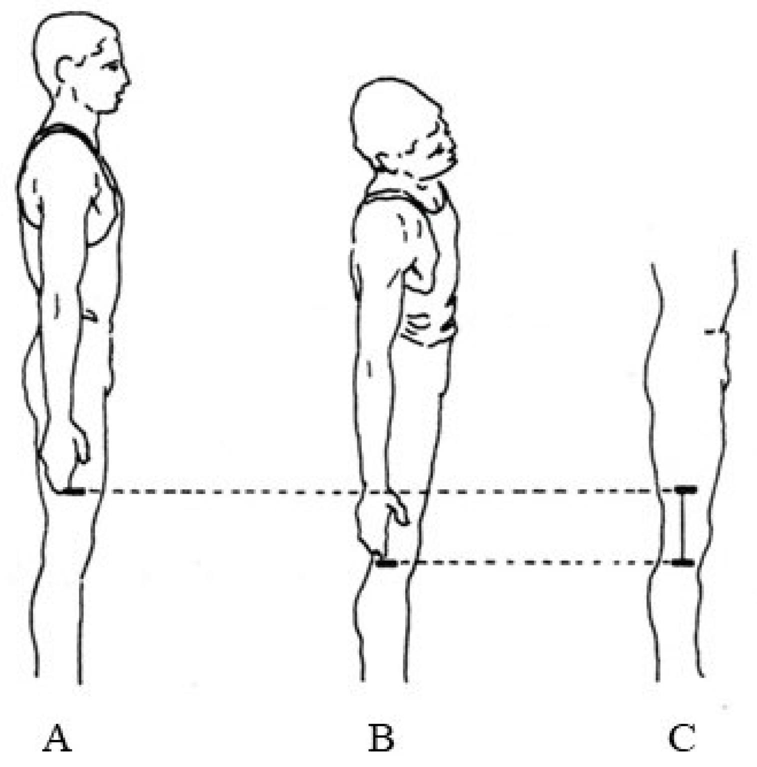 Jfmk 08 00153 g002 Jfmk 08 00153 g002