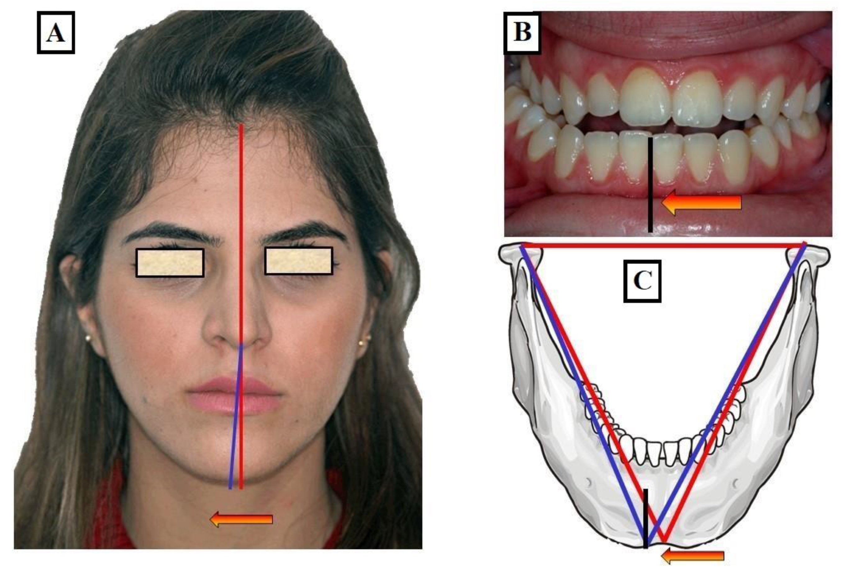 Jfmk 09 00051 g012 Jfmk 09 00051 g012