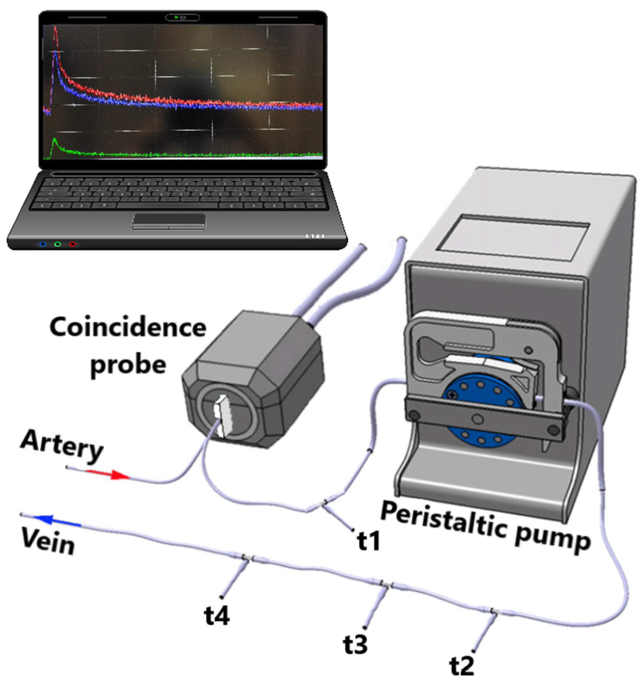 Mechanisms Leading to Increased Insulin-Stimulated Cerebral Glucose Uptake in Obesity and Insulin Resistance: A High-Fat Diet and Exercise Training Intervention PET Study with Rats (CROSRAT) Mechanisms Leading to Increased Insulin-Stimulated Cerebral Glucose Uptake in Obesity and Insulin Resistance: A High-Fat Diet and Exercise Training Intervention PET Study with Rats (CROSRAT)