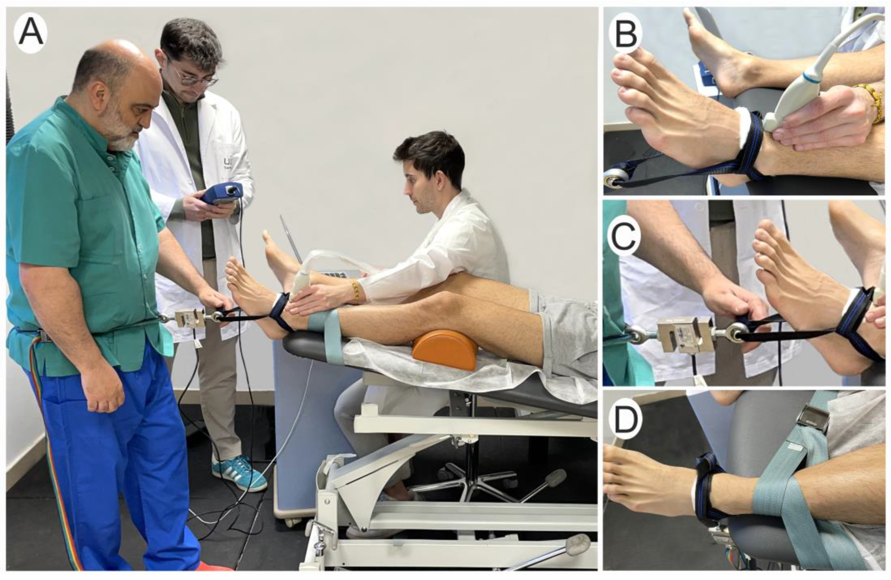 Jfmk 09 00163 g001 Jfmk 09 00163 g001