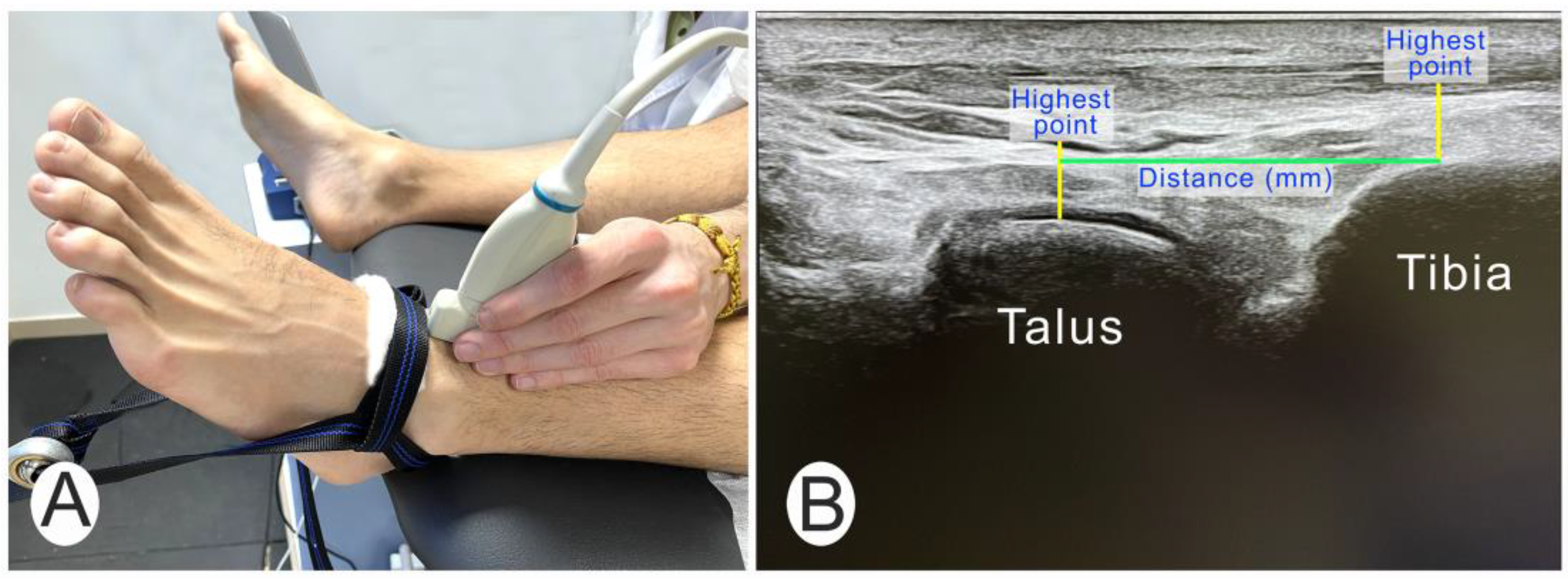 Jfmk 09 00163 g002 Jfmk 09 00163 g002