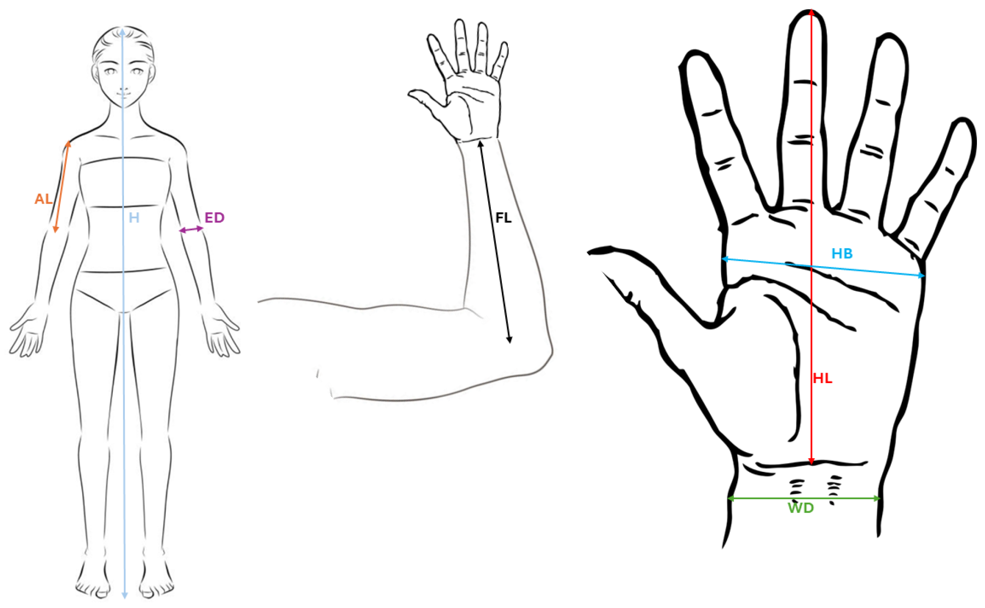 Jfmk 09 00168 g001 Jfmk 09 00168 g001