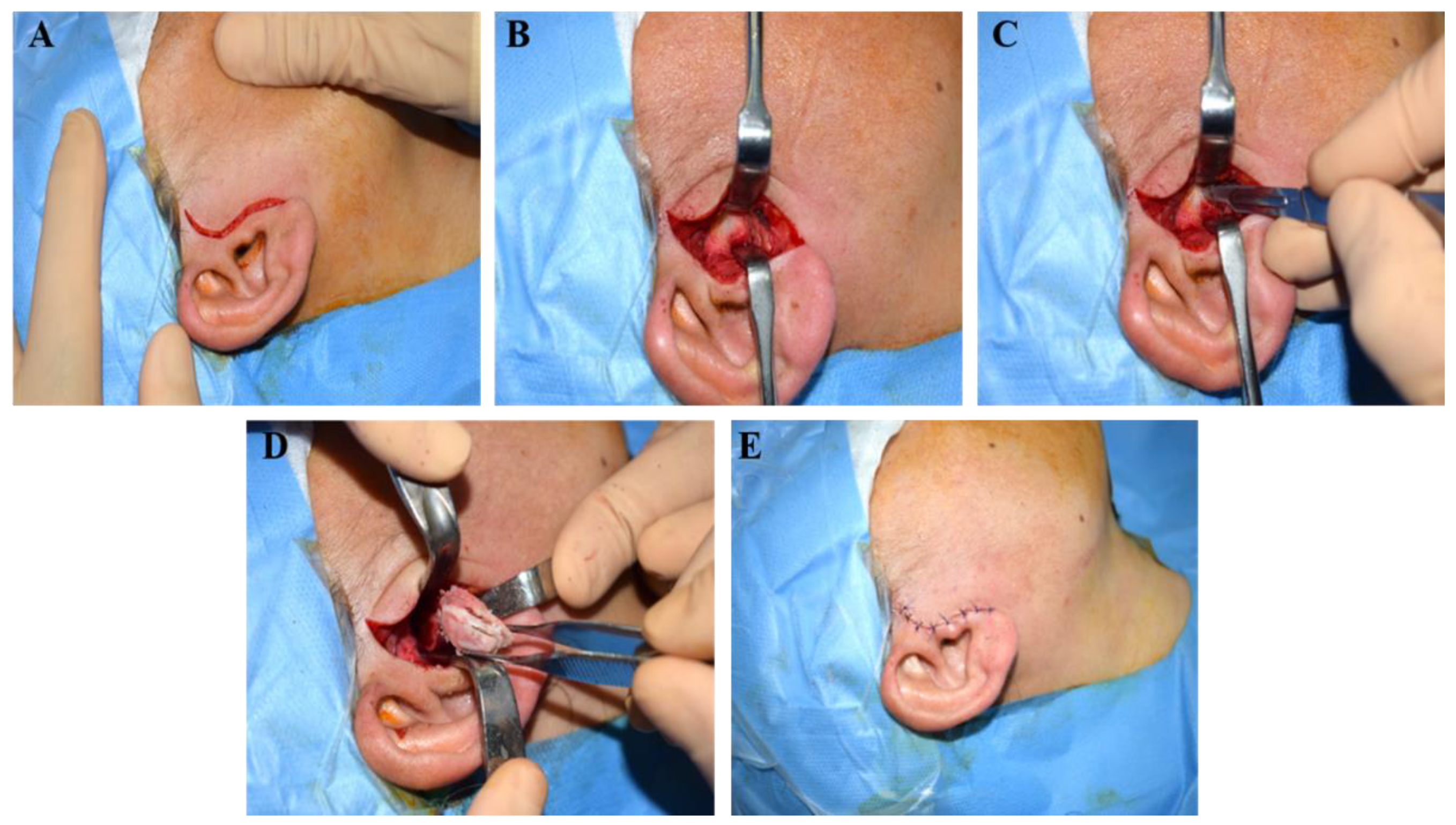 Jfmk 09 00217 g001 Jfmk 09 00217 g001