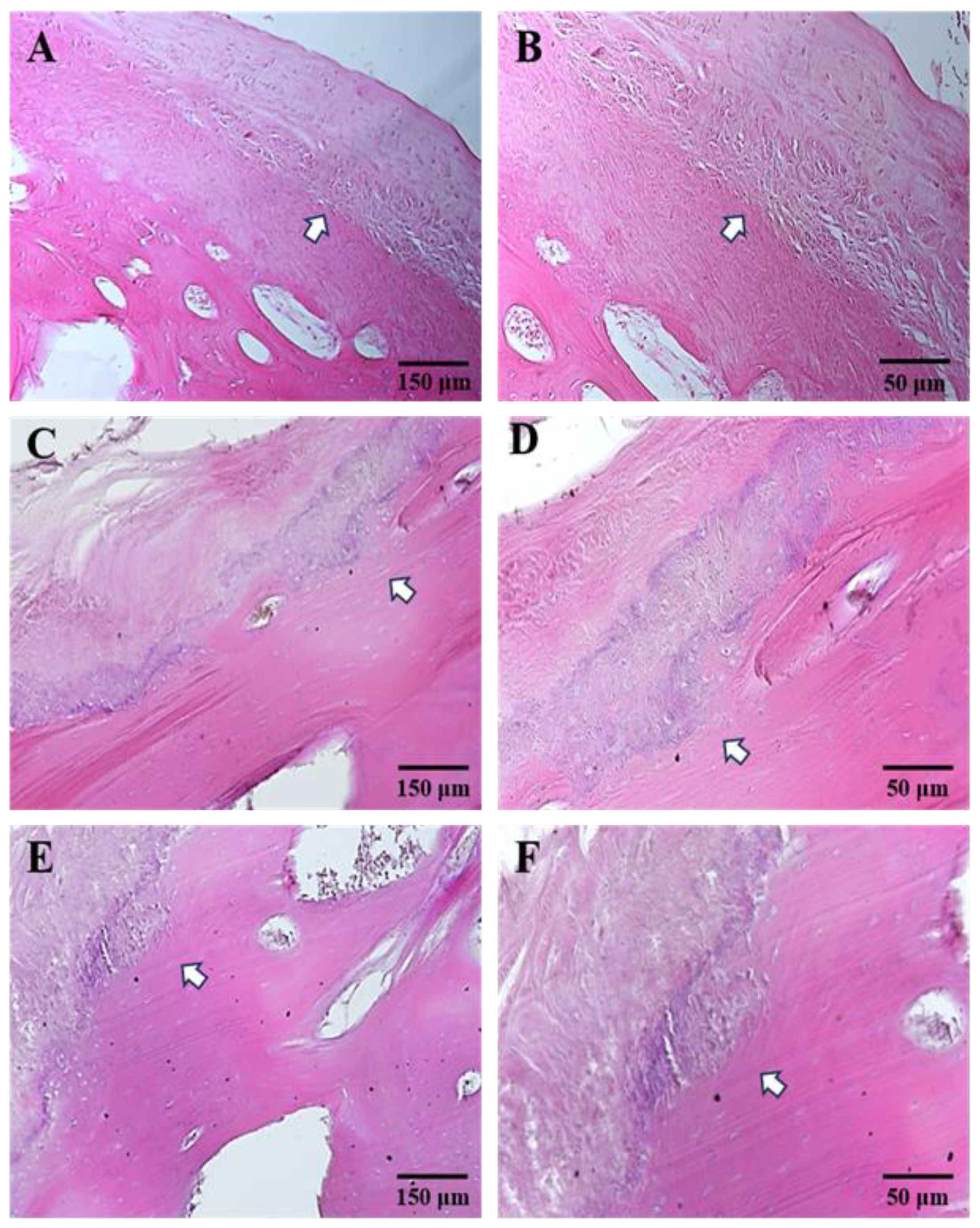 Jfmk 09 00217 g002 Jfmk 09 00217 g002