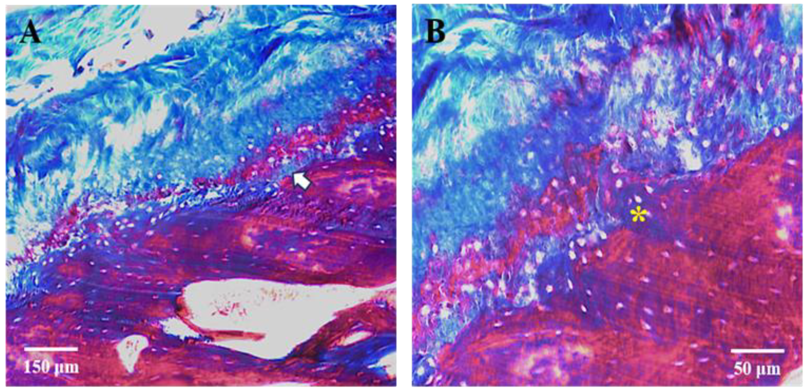 Jfmk 09 00217 g003 Jfmk 09 00217 g003