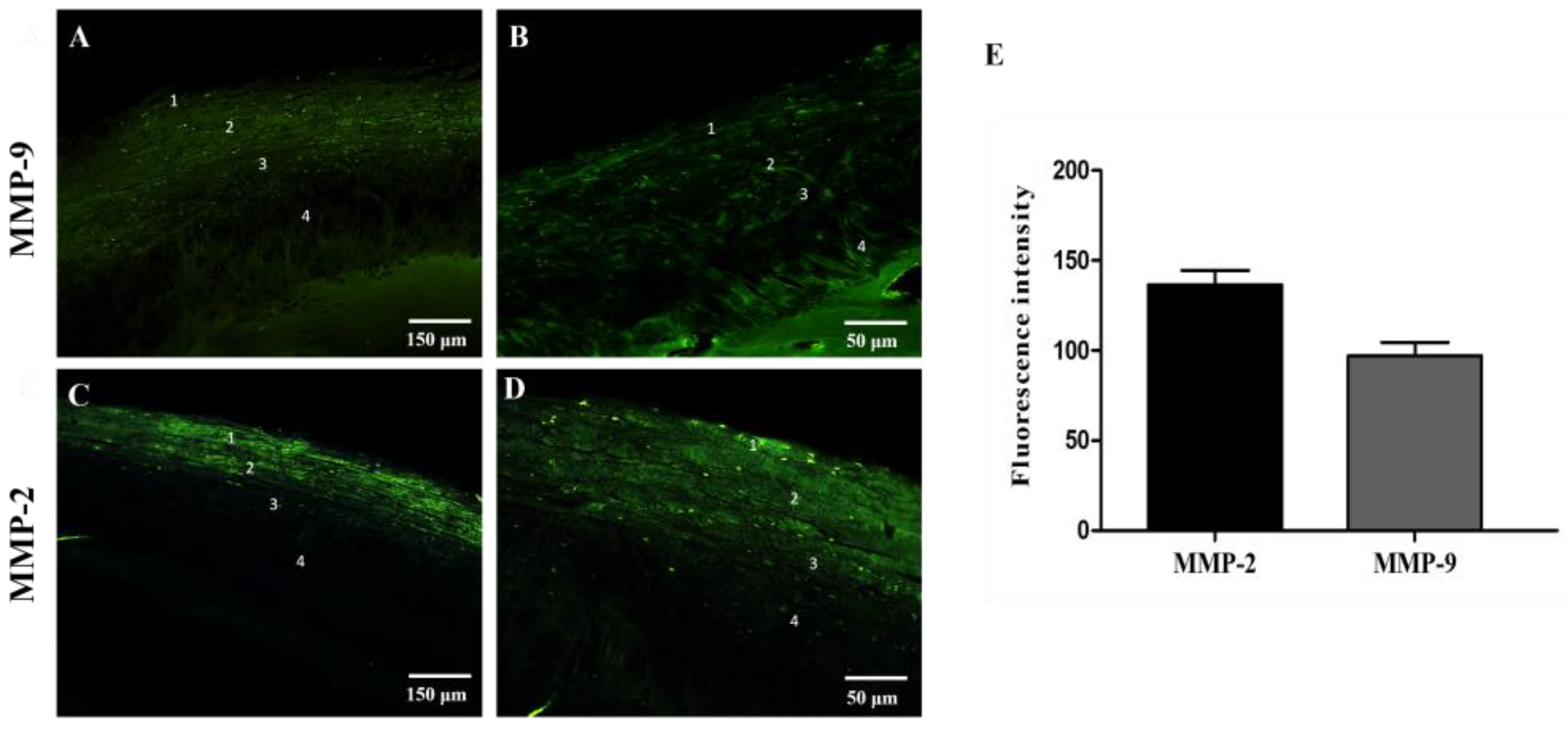 Jfmk 09 00217 g004 Jfmk 09 00217 g004