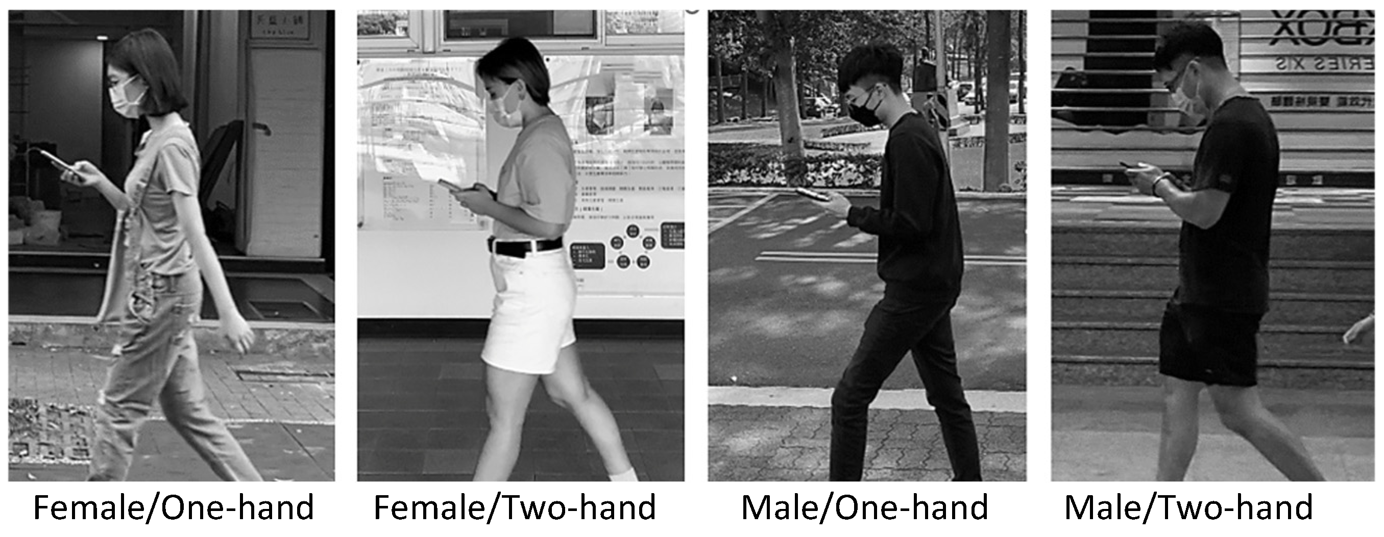 Jfmk 09 00245 g002 Jfmk 09 00245 g002