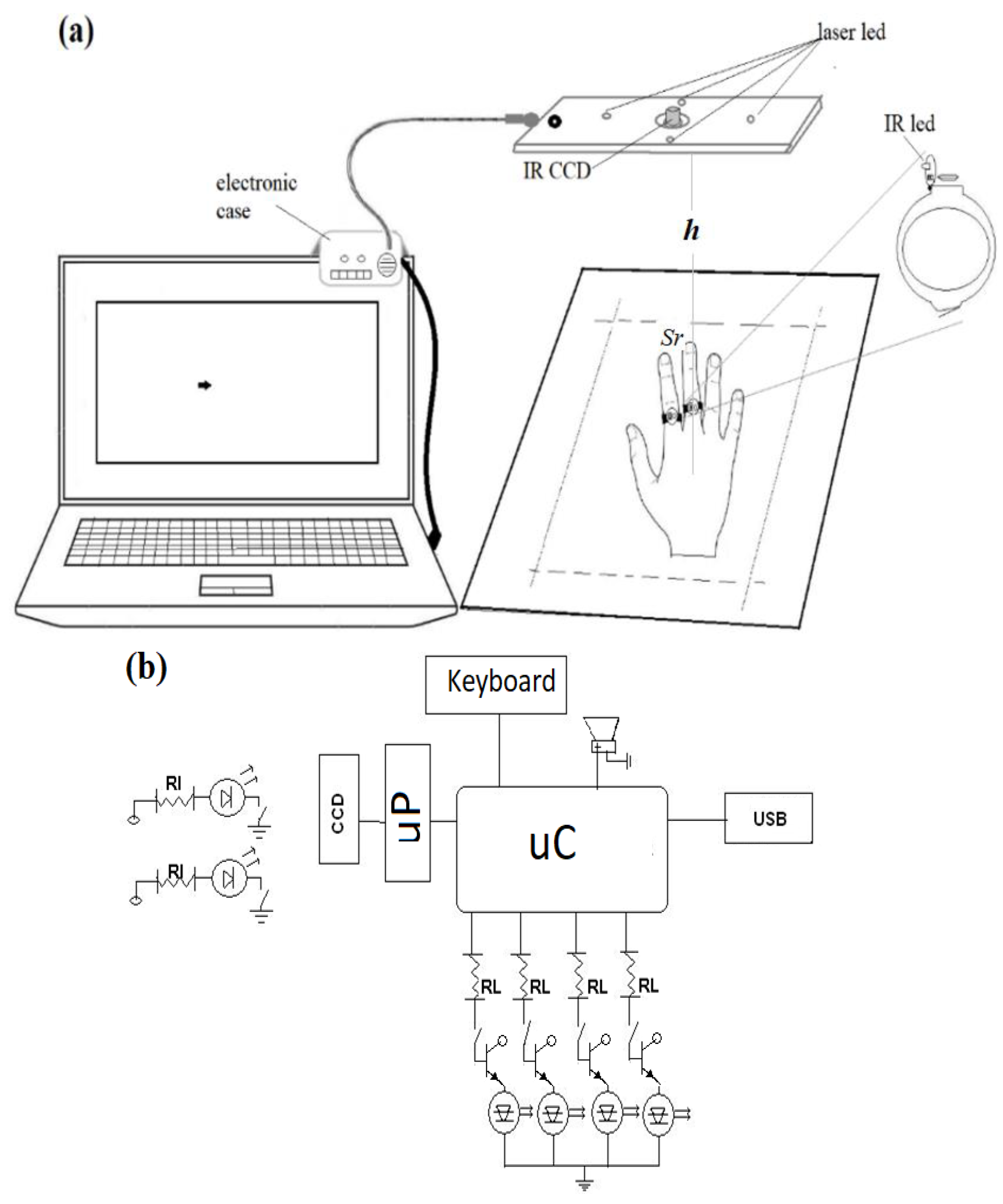 Jfmk 09 00260 g002 Jfmk 09 00260 g002