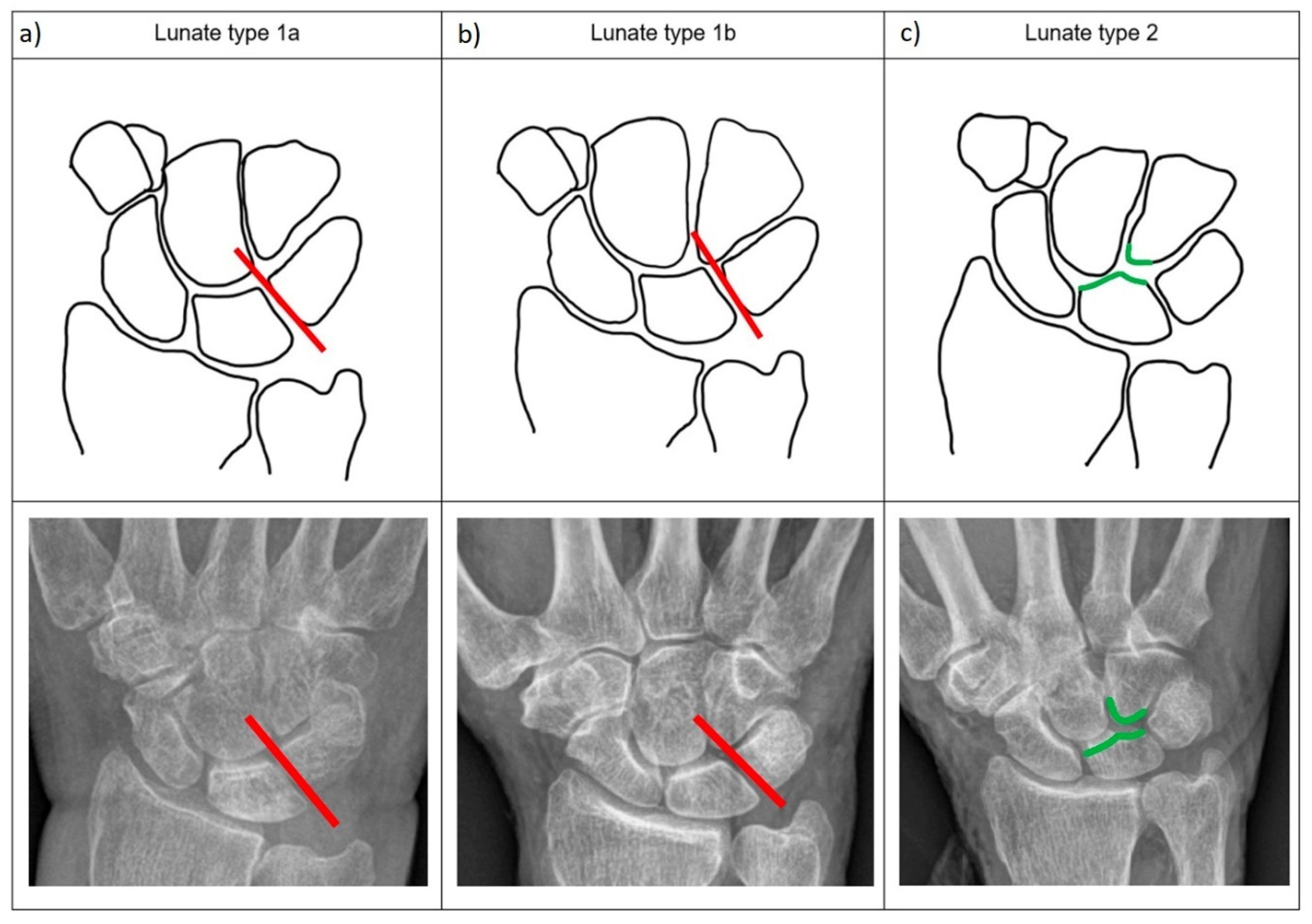 Jfmk 10 00141 g001 Jfmk 10 00141 g001