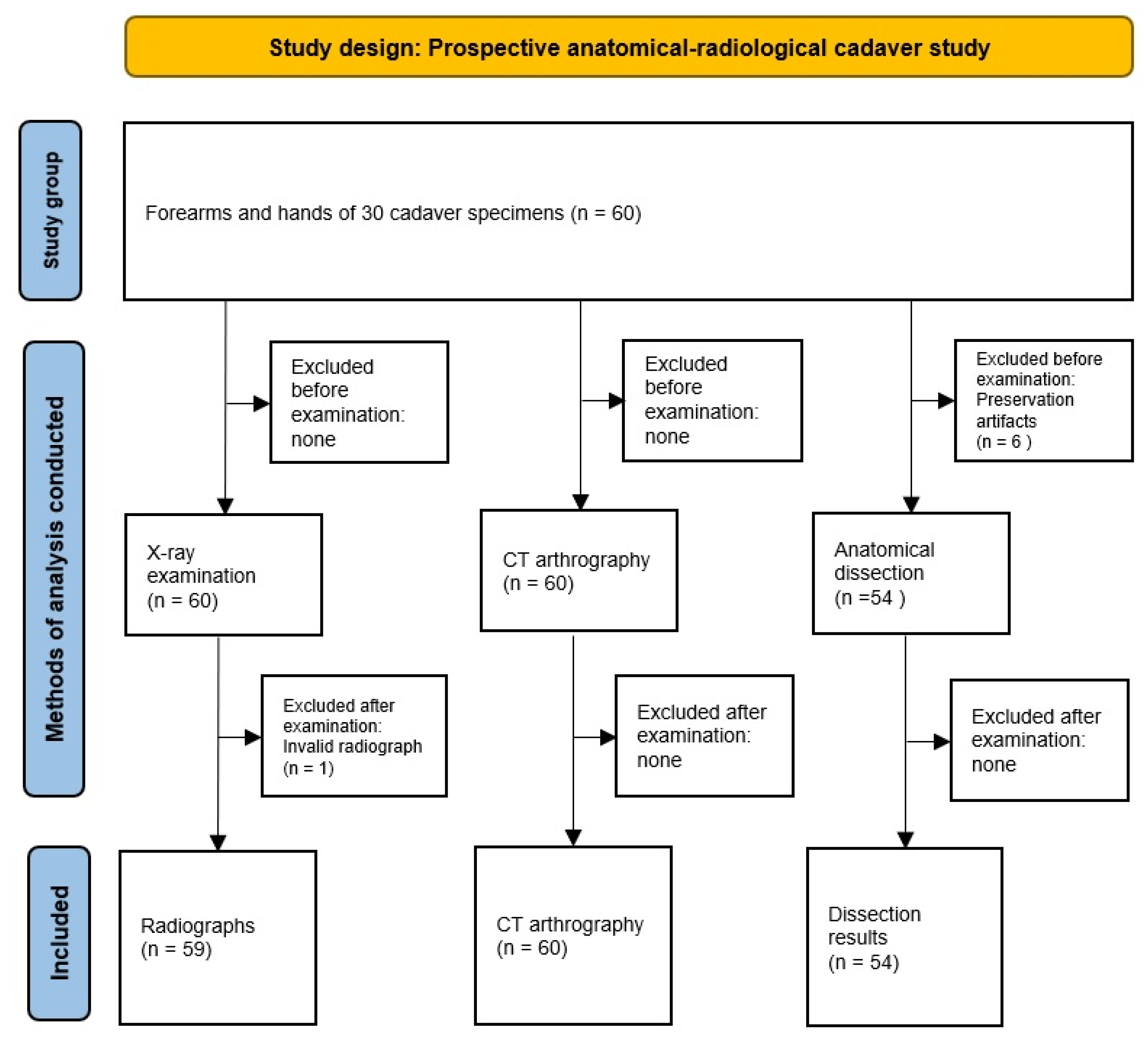 Jfmk 10 00141 g002 Jfmk 10 00141 g002