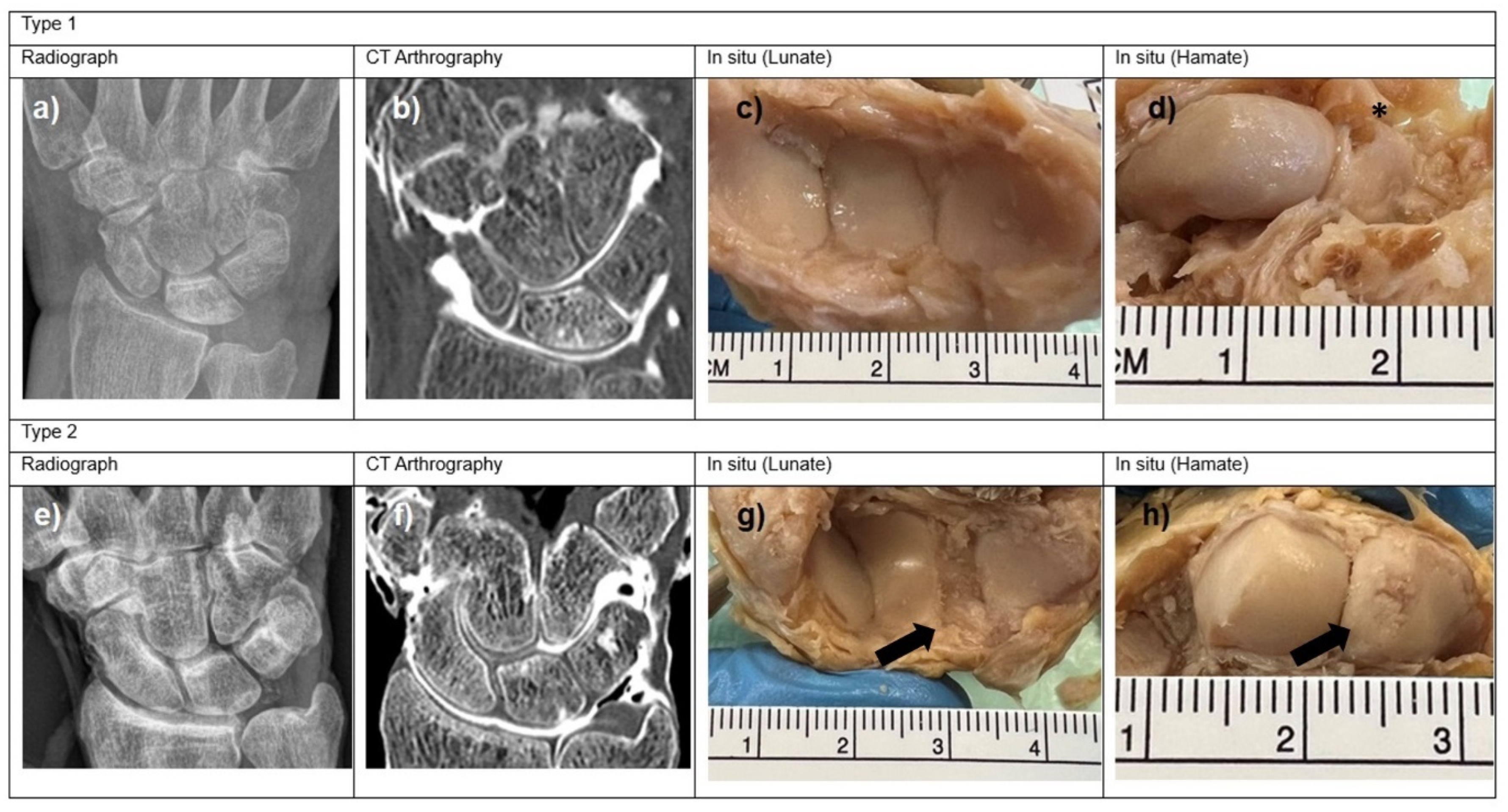 Jfmk 10 00141 g003 Jfmk 10 00141 g003