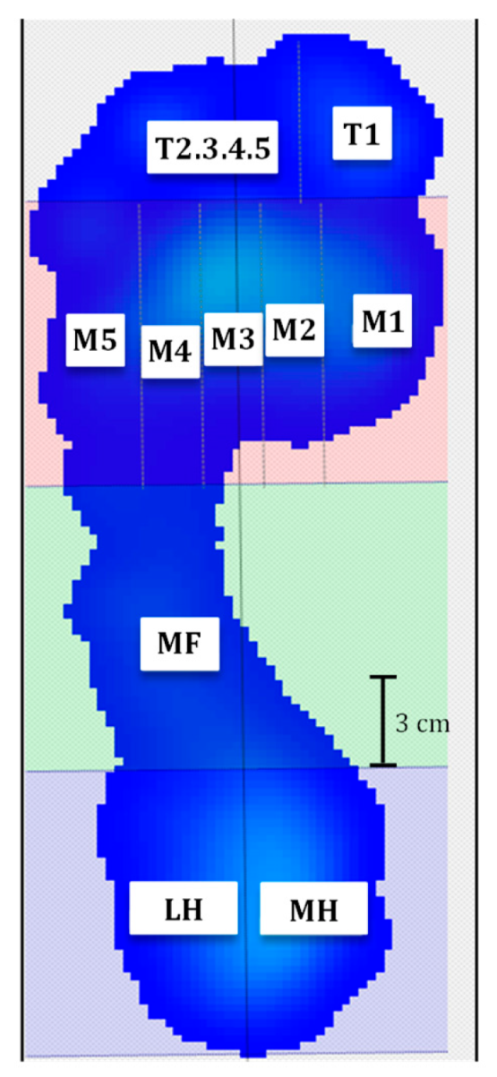 Jfmk 10 00301 g001 Jfmk 10 00301 g001