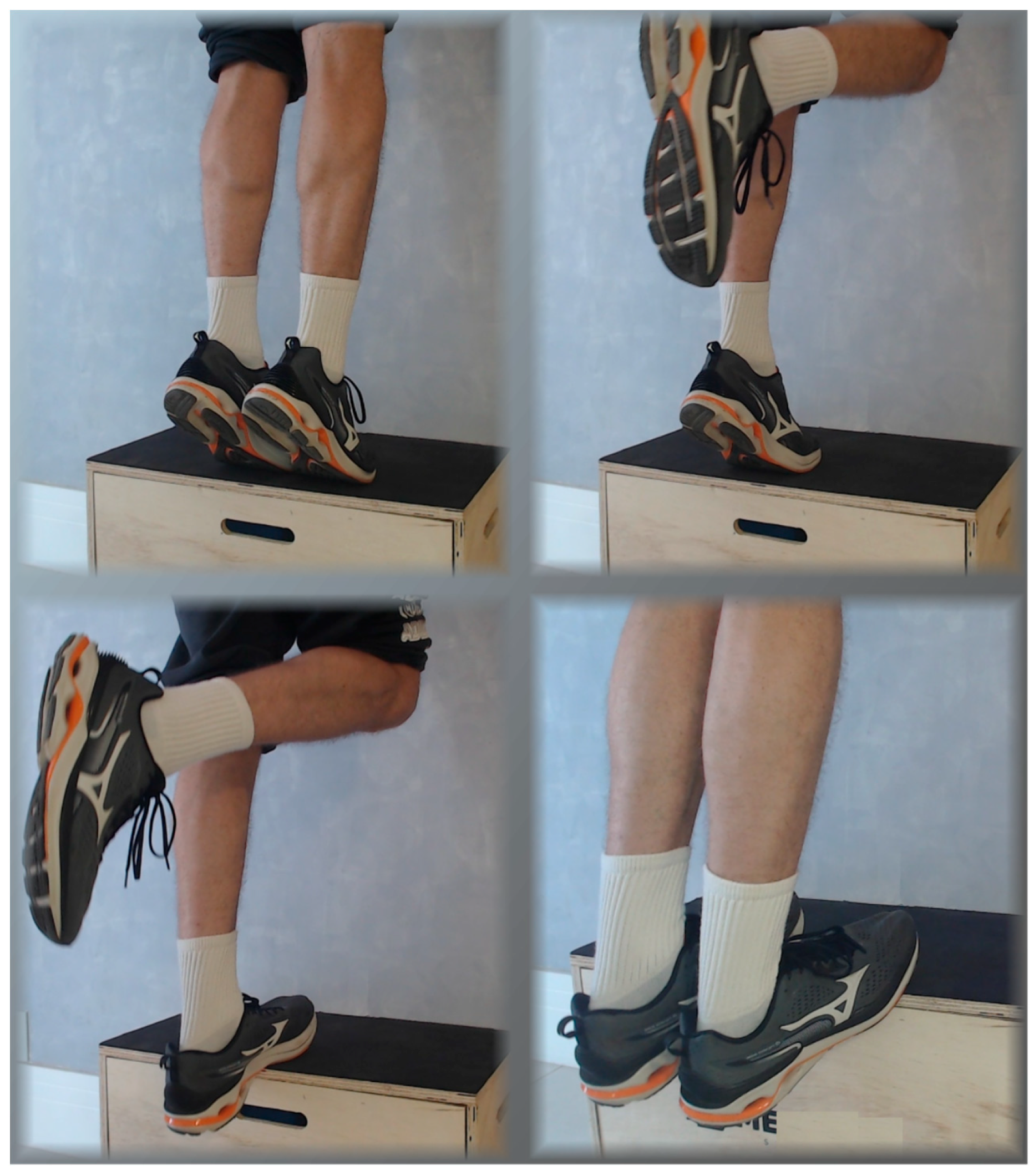 Jfmk 10 00326 g002 Jfmk 10 00326 g002