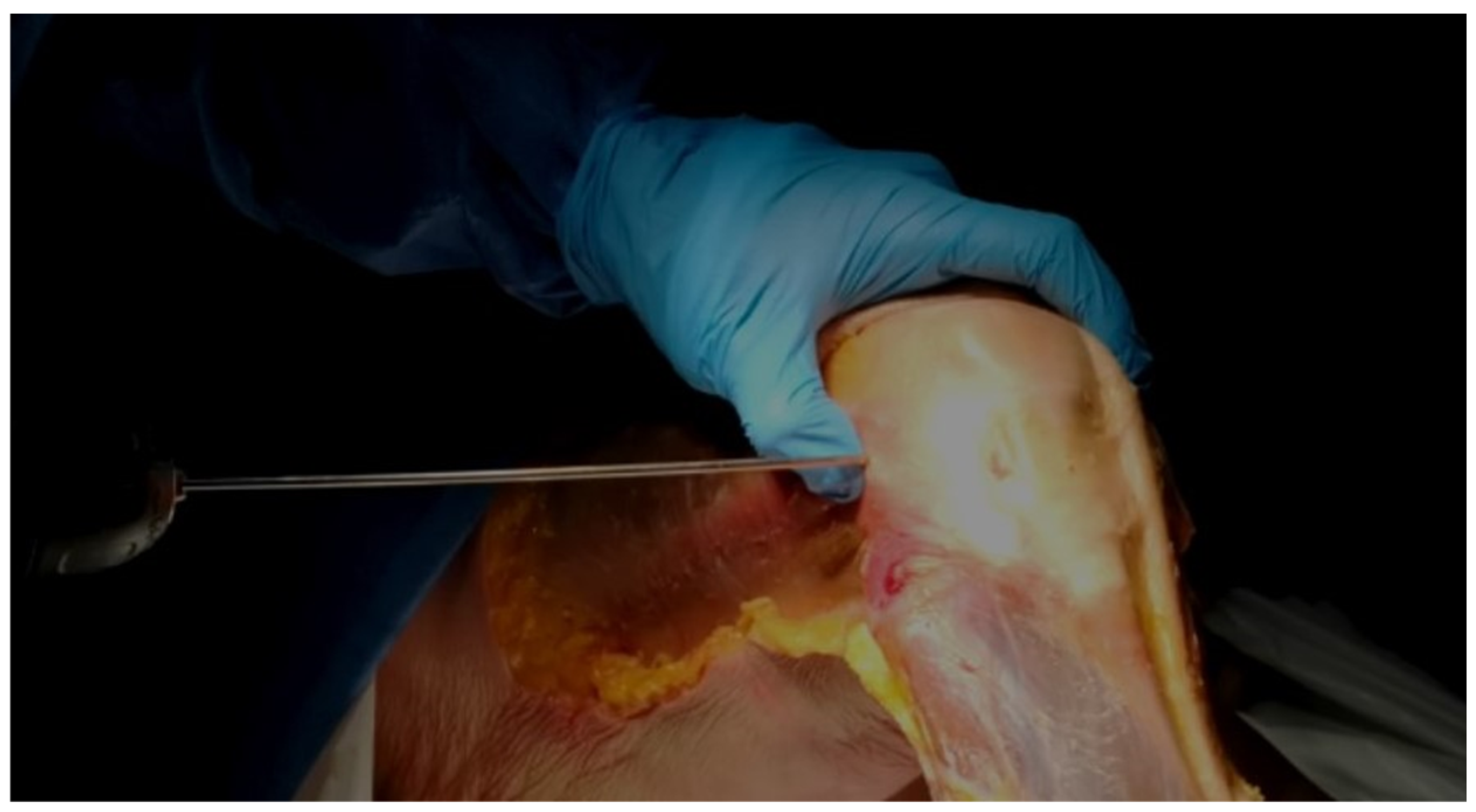 Jfmk 10 00327 g001 Jfmk 10 00327 g001