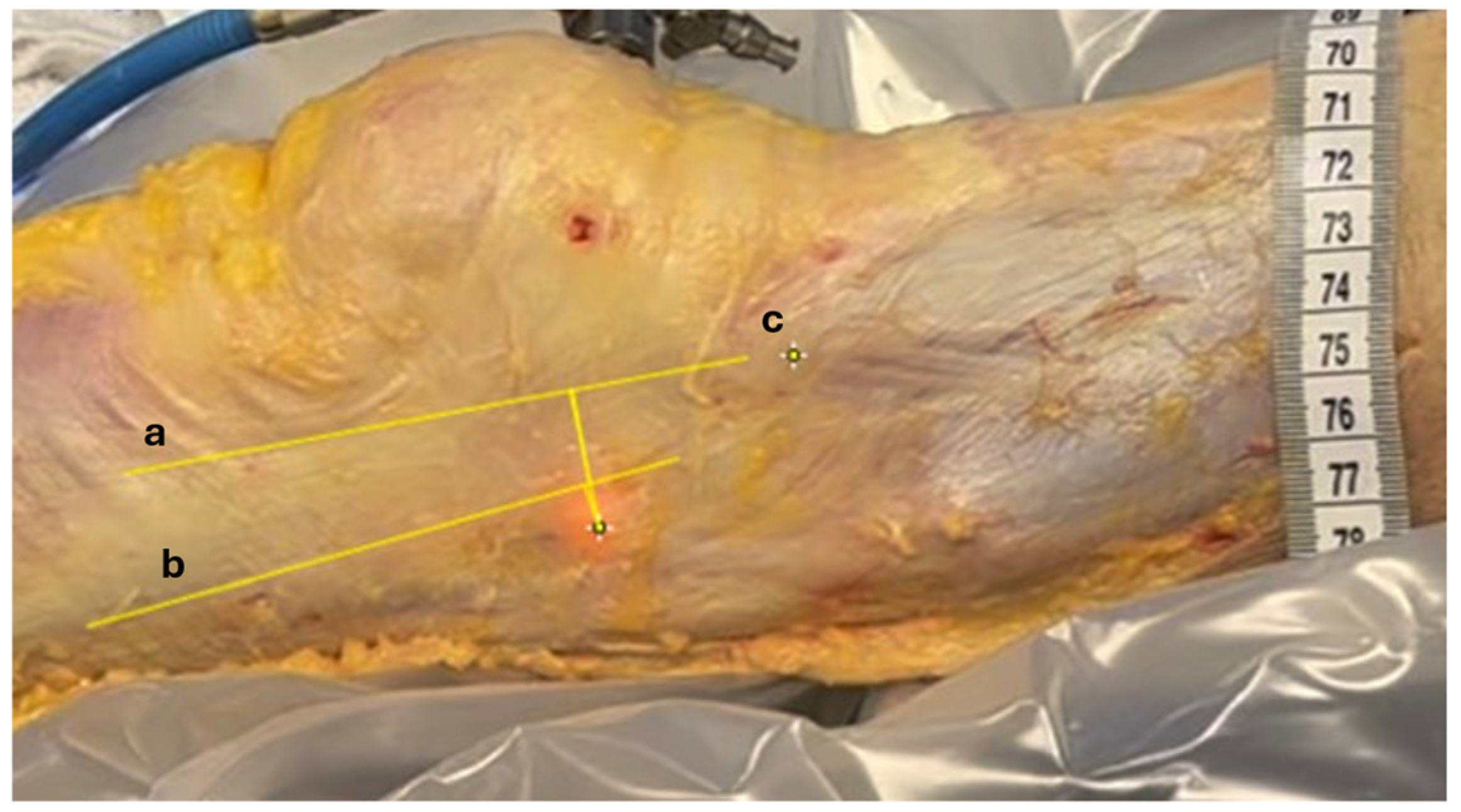 Jfmk 10 00327 g005 Jfmk 10 00327 g005