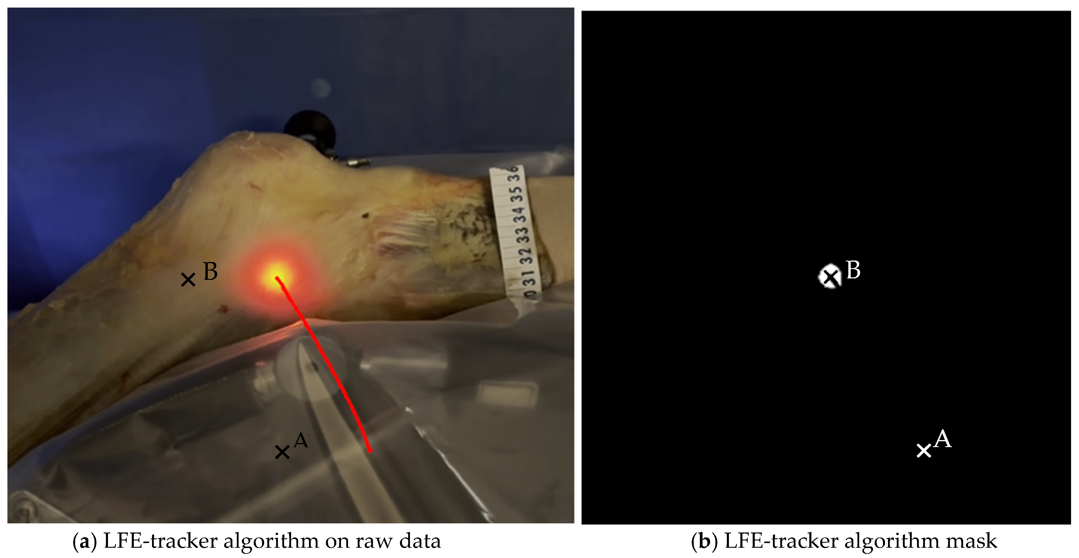 Jfmk 10 00327 g006 Jfmk 10 00327 g006