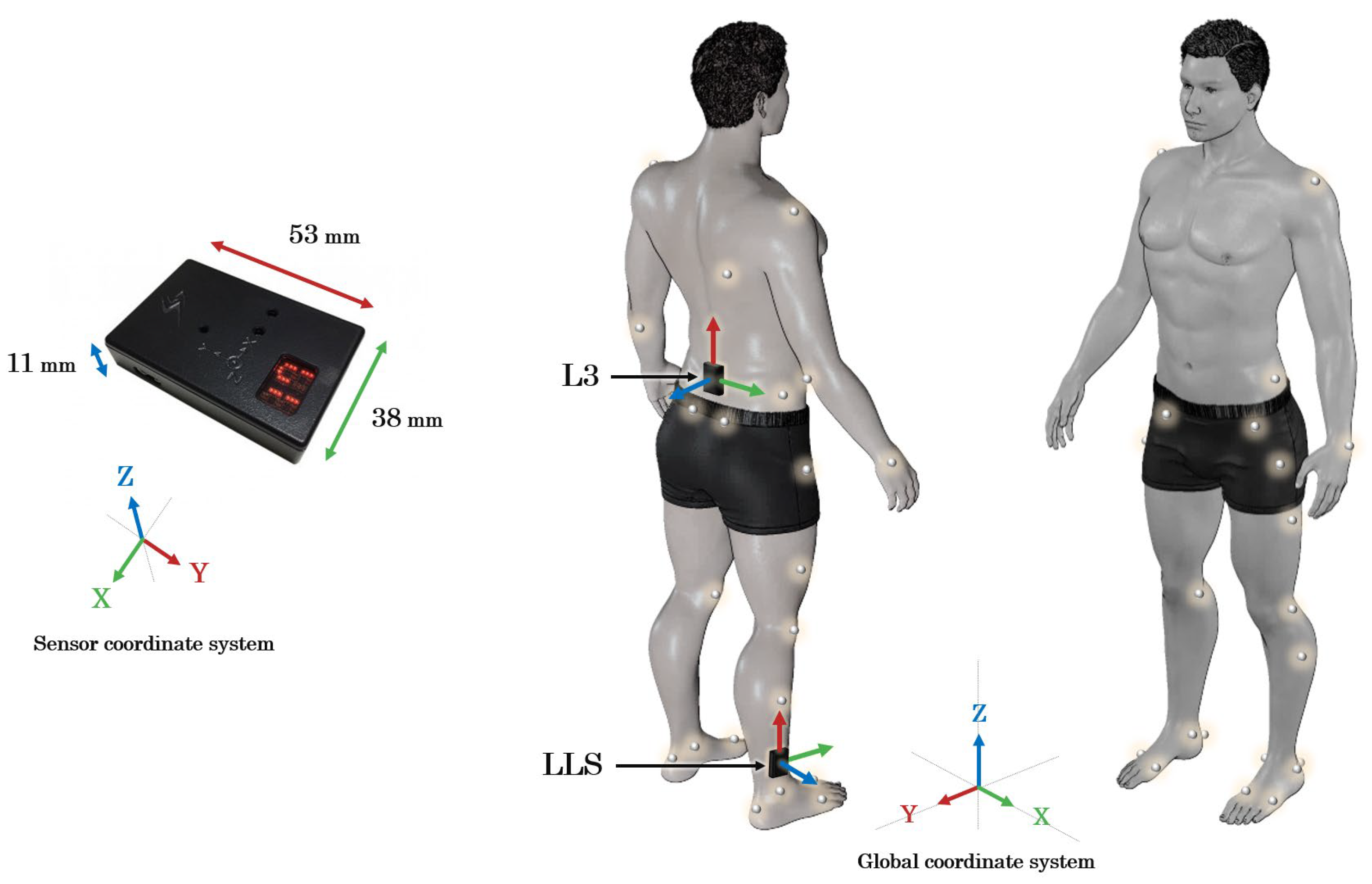 Jfmk 10 00356 g002 Jfmk 10 00356 g002