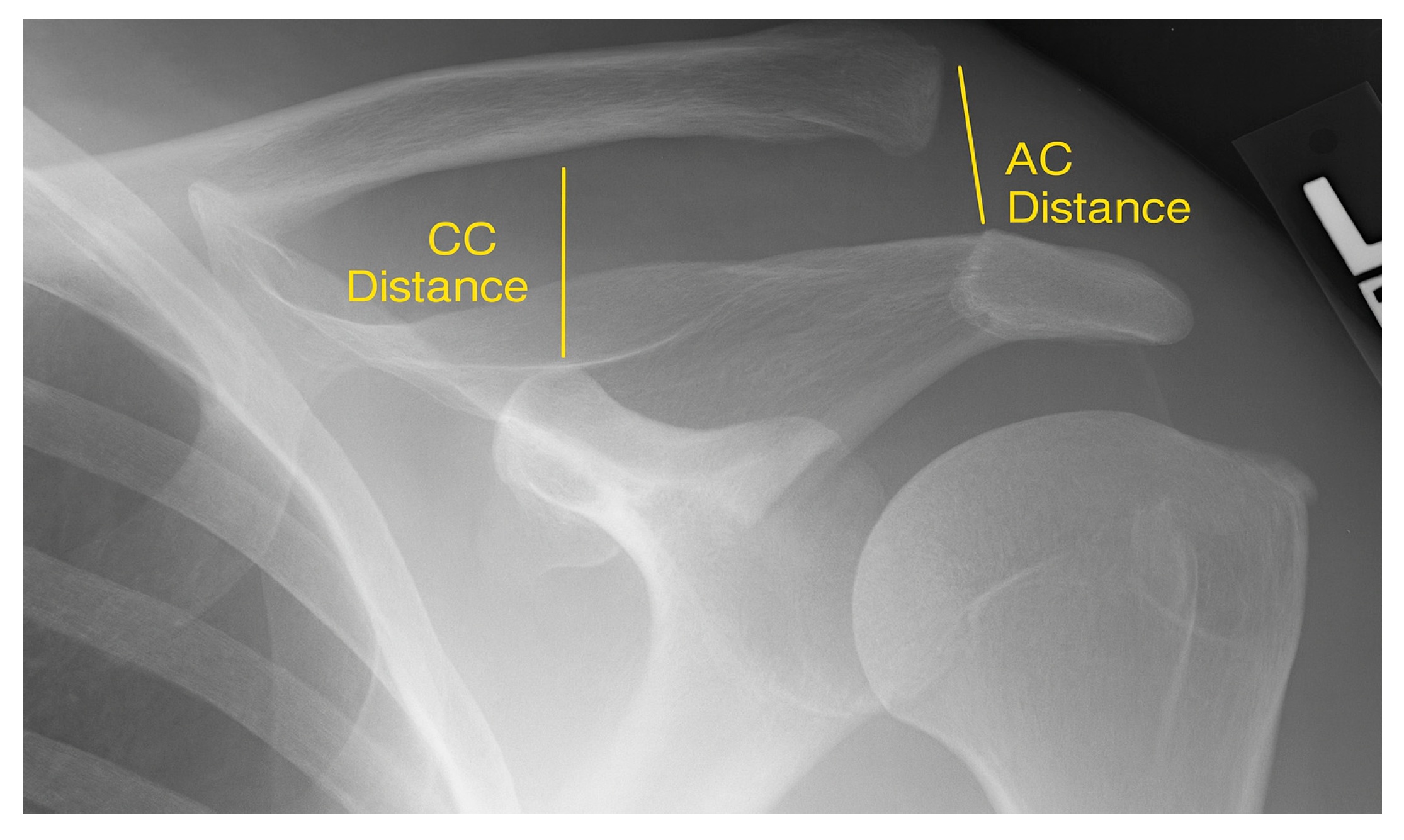 Jfmk 10 00375 g001 Jfmk 10 00375 g001