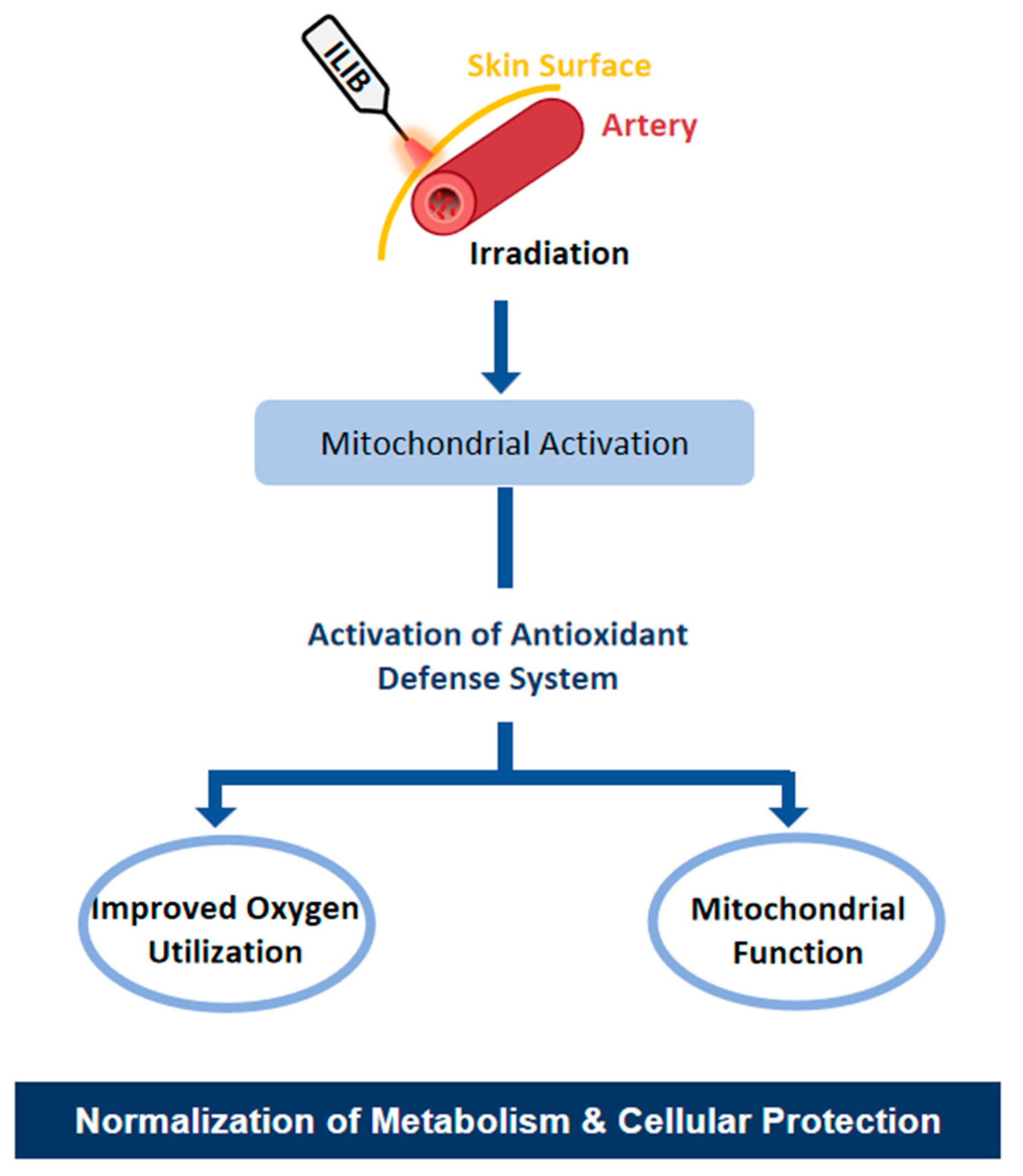 Jfmk 10 00466 g001 Jfmk 10 00466 g001