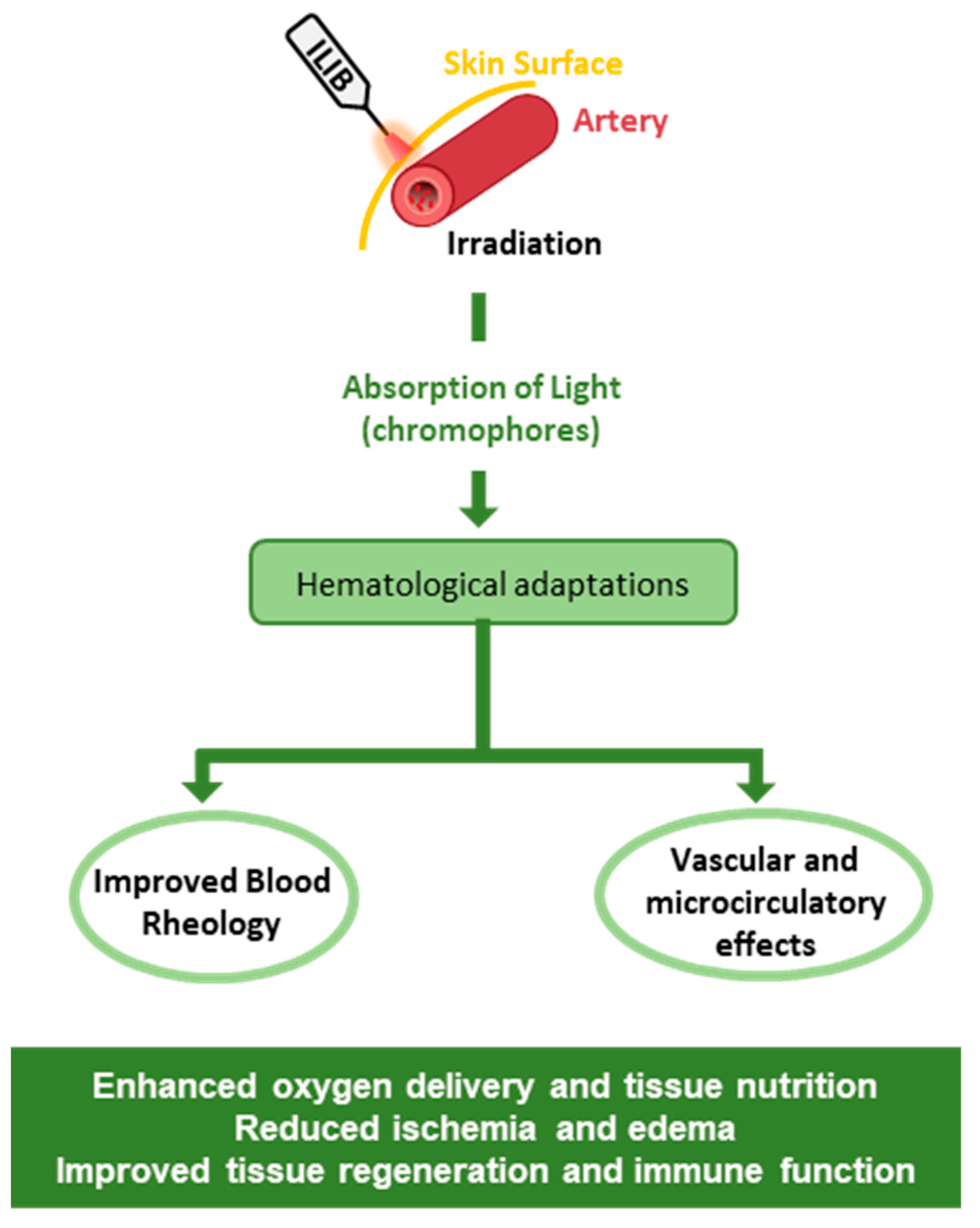 Jfmk 10 00466 g002 Jfmk 10 00466 g002