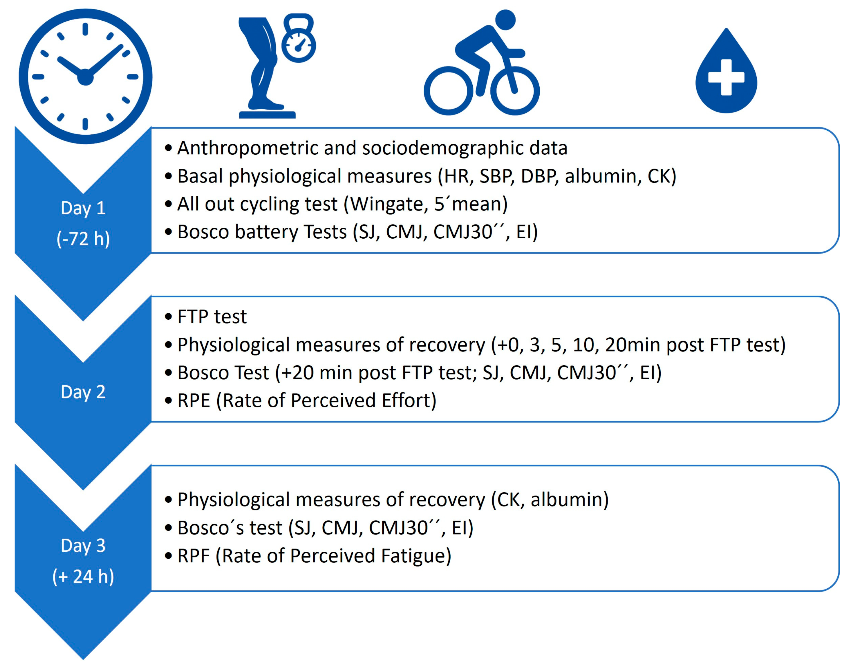 Jfmk 10 00472 g001 Jfmk 10 00472 g001