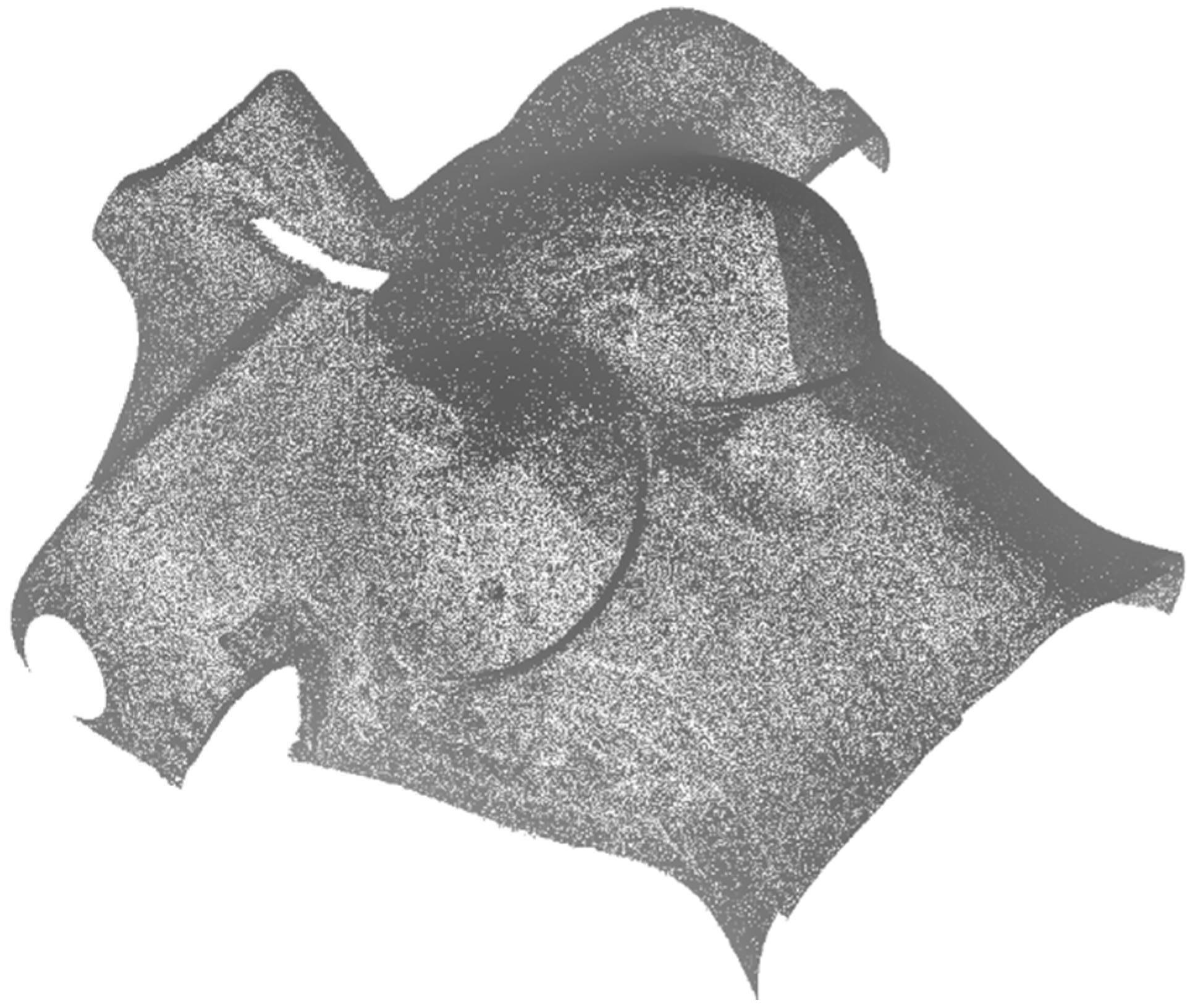 Jimaging 01 00180 g006 1024