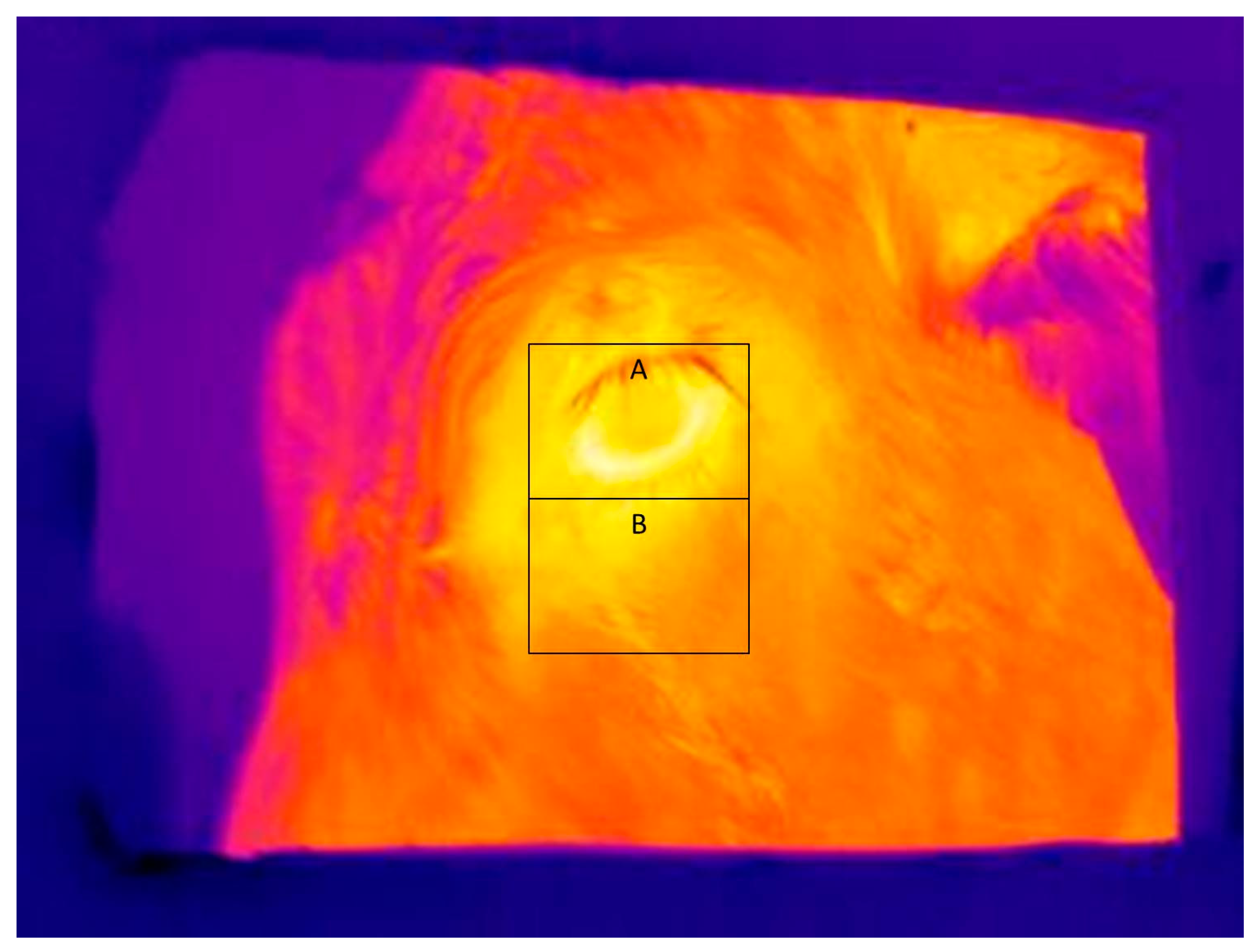 Jimaging 02 00021 g003 1024